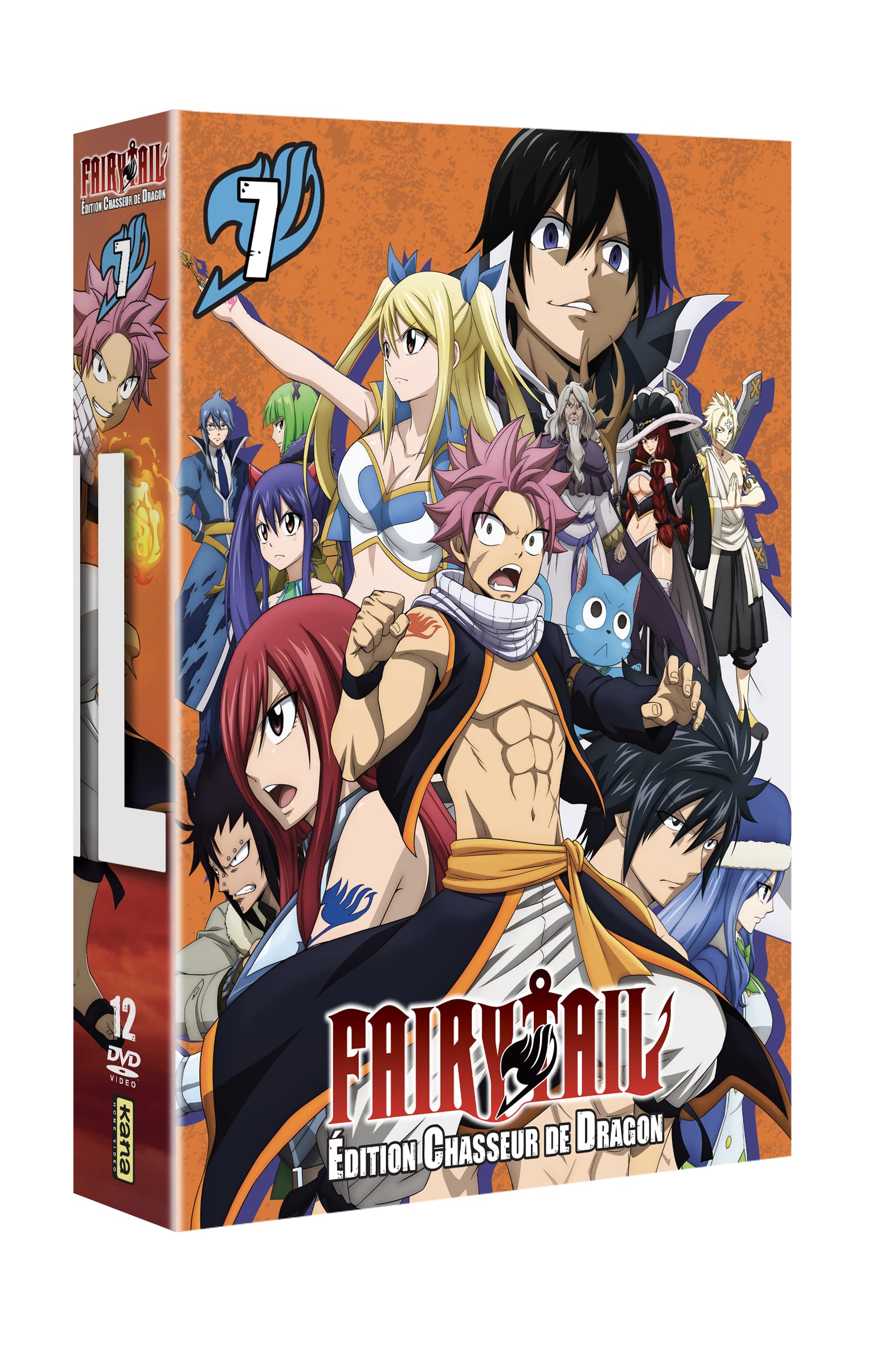 Fairy Tail - Edition Chasseur de Dragon VOL.7