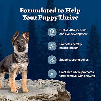 パピー様 スイッチボックス イルミ付き アルミ製 防滴仕様 トグルスイッチ