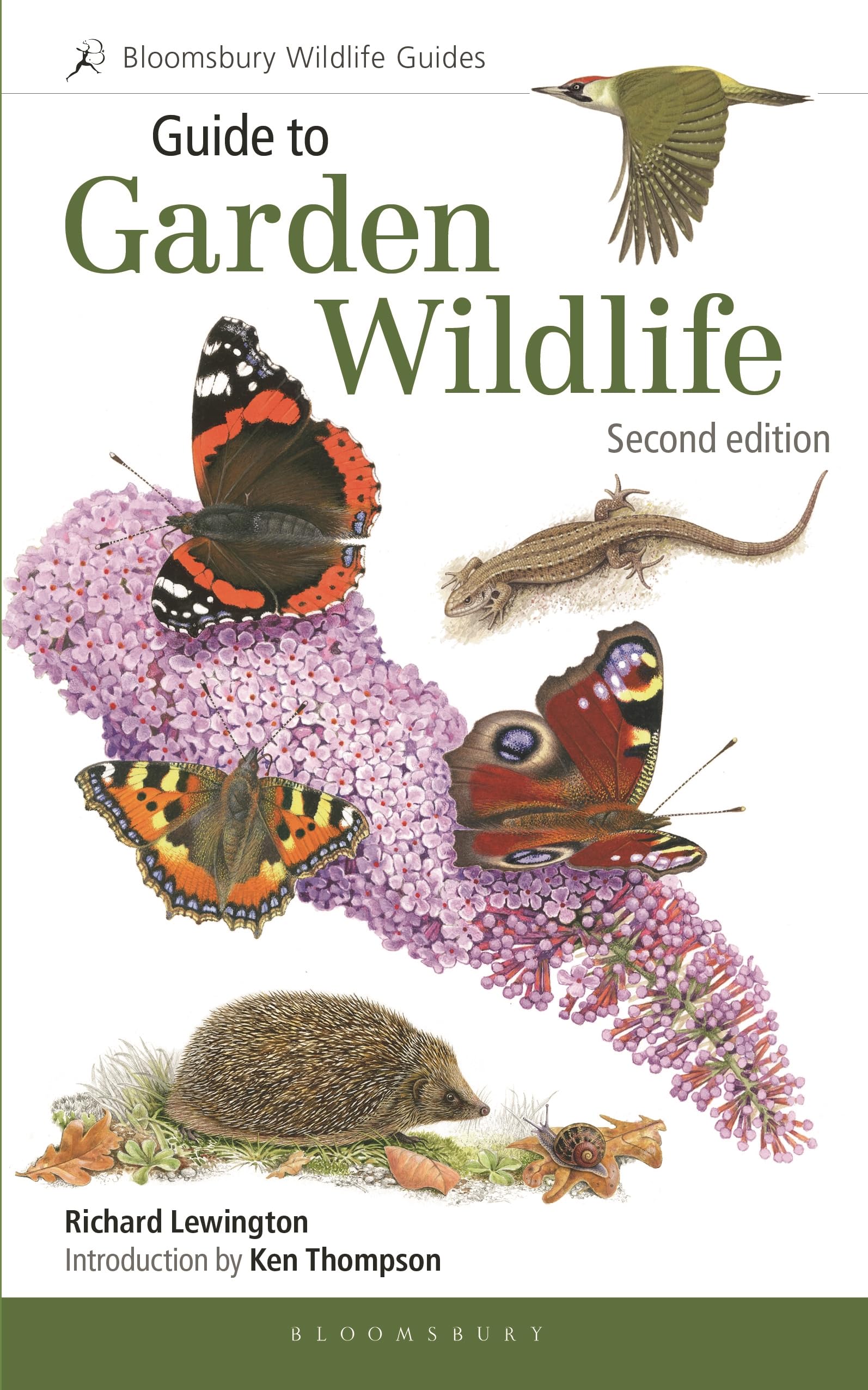 Guide to Garden Wildlife (2nd edition) by Richard Lewington (Paperback Book)