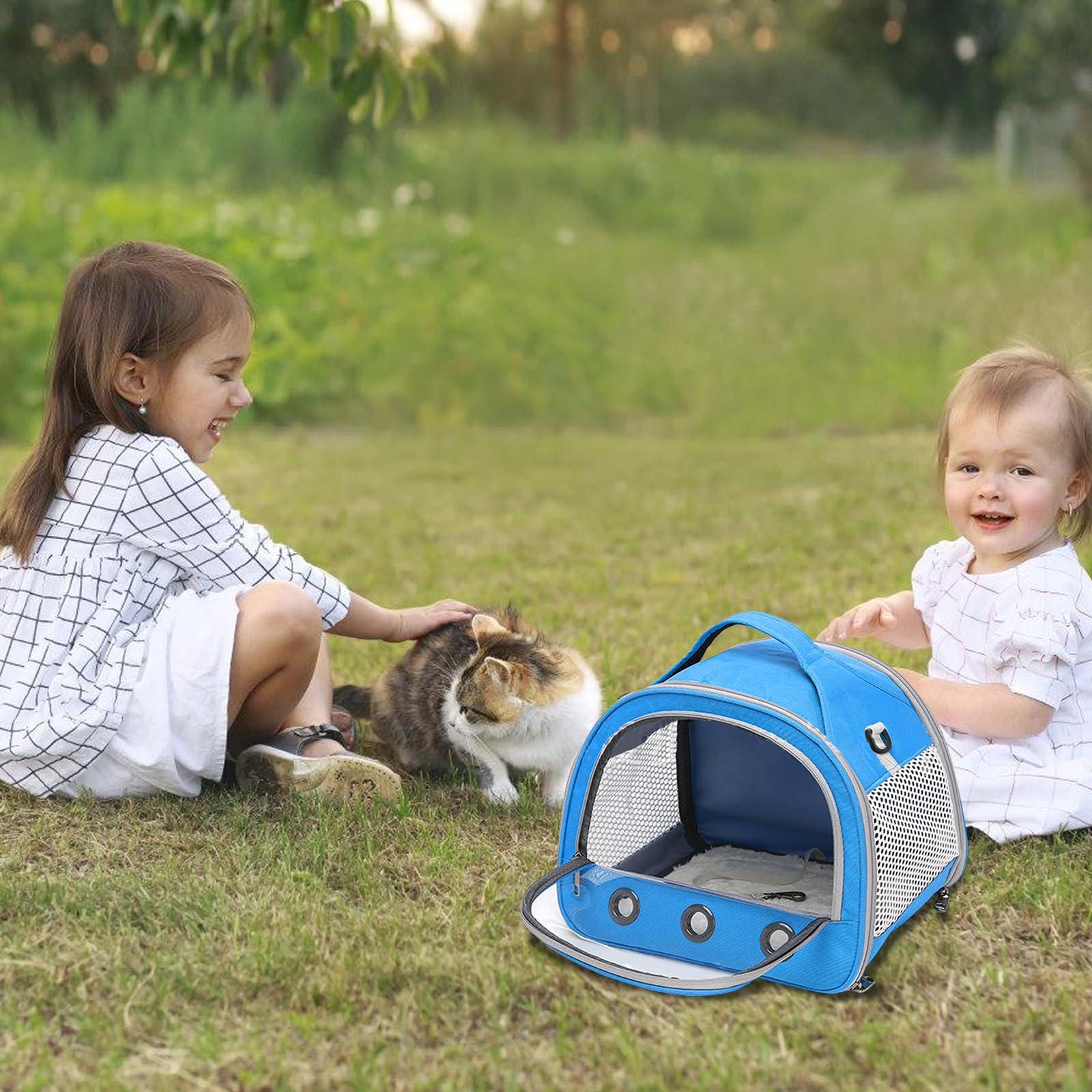 Sac De Transport pour Petits Animaux, 30 * 27 * 21 Cm Sac De Voyage pour Animal Domestique, Cage De Transport Portable pour Petit Oiseau, Sac De Transport pour Oiseaux pour Oiseaux, Rats Bleu