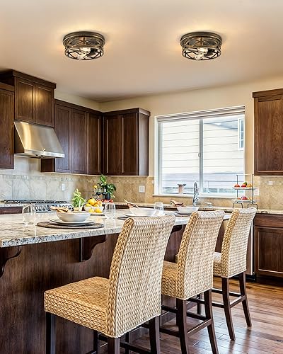 Miniatura 2 de VONLUCE Luces de techo de montaje empotrado, accesorios de iluminación de techo de pasillo de 2 luces, luces de techo de jaula de metal de granja de