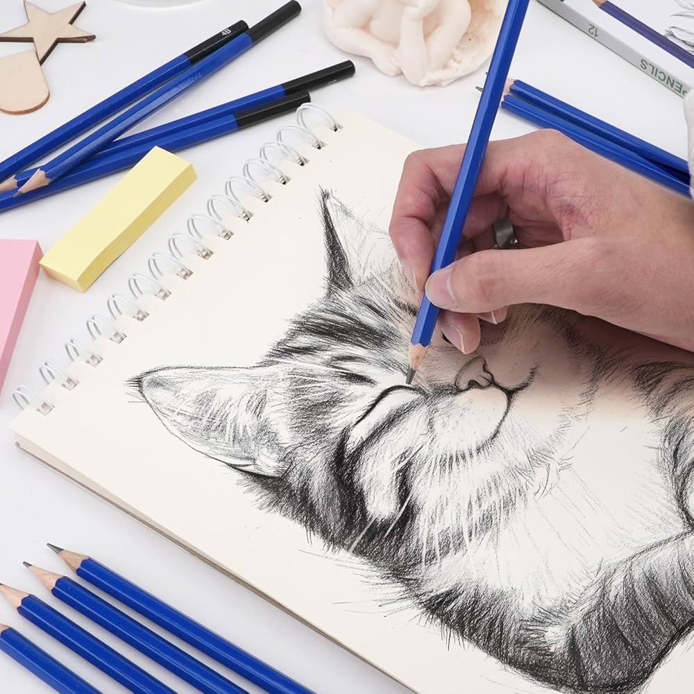 Amazon.co.jp: スケッチ鉛筆 12本セット - デッサン鉛筆 4H～8B