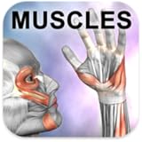 Learn Muscles: Anatomy