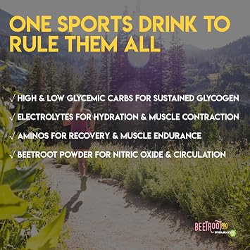 Intra-Workout Fuel Powder with Carb10, Electrolytes - Endurance Complex Carbohydrates, Aminos for Stamina & Recovery, Beet Nitric Oxide, Pink Lemonade