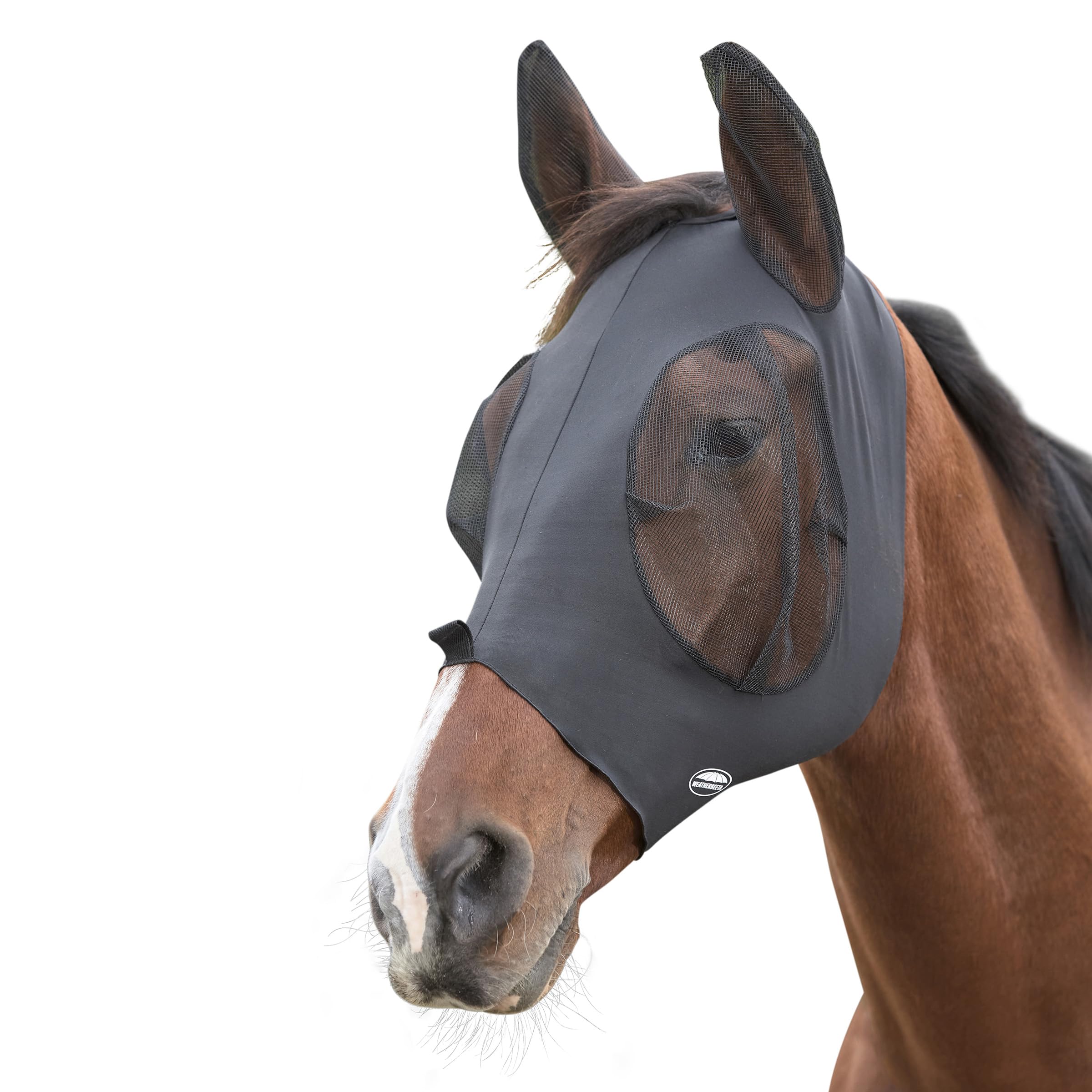 WeatherBeeta Deluxe Stretch Bug Eye Saver with Ears, Black/Black, Pony — image 1