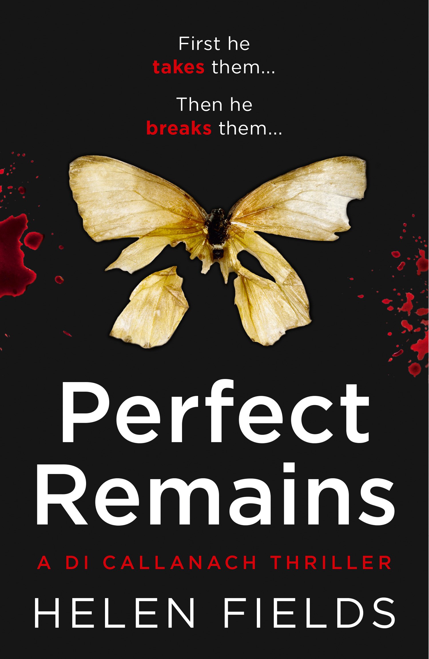 Perfect Remains: A gripping thriller that will leave you breathless (A DI Call,