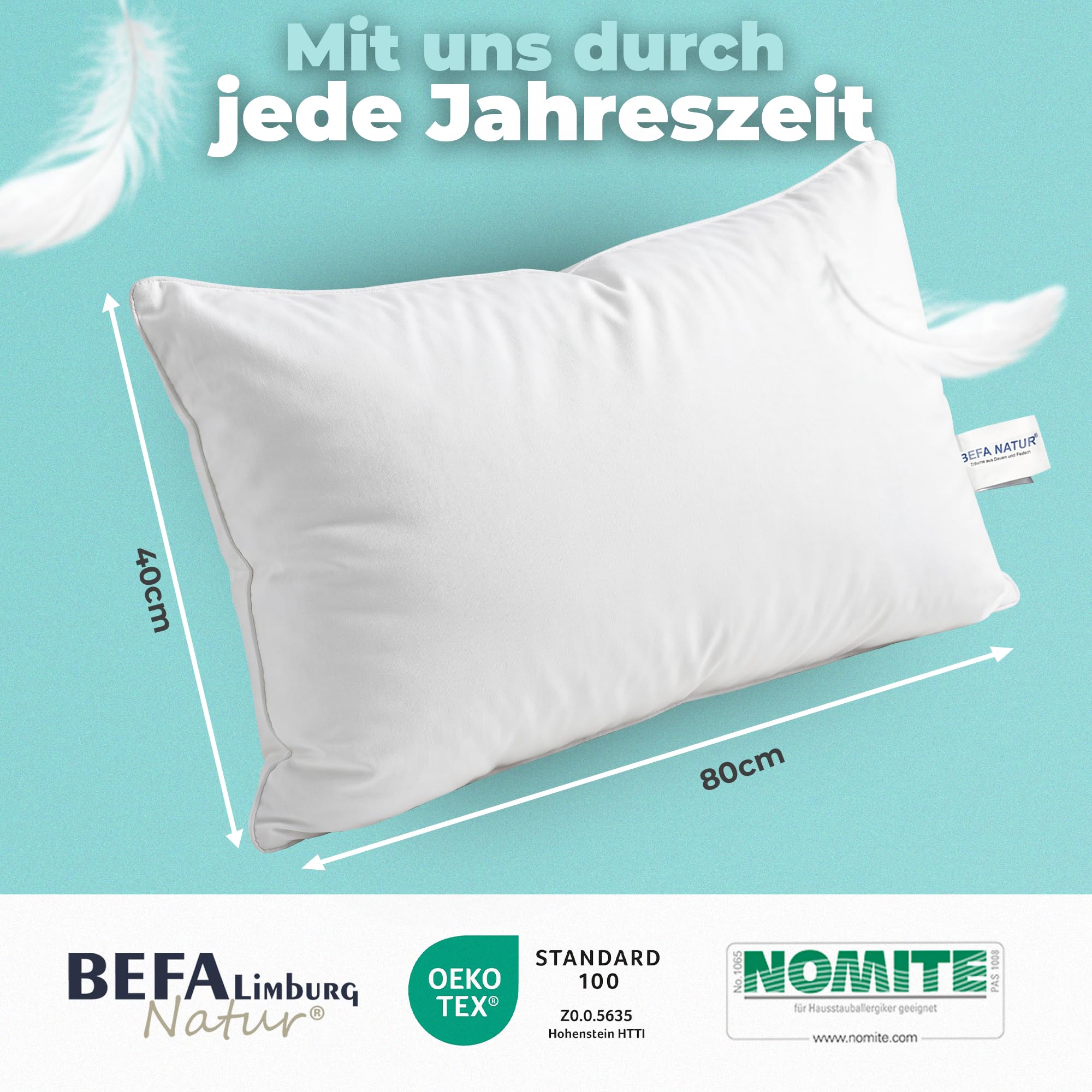 BEFA NATUR Made in Germany Feder/Daunenkissen 40x80 cm aus 15% Daunen und 85% Federn, Allergiker geeignet (Nomite), Öko-Text 100 Klasse 1 Zertifiziert, EN Standart 12934, Downpass