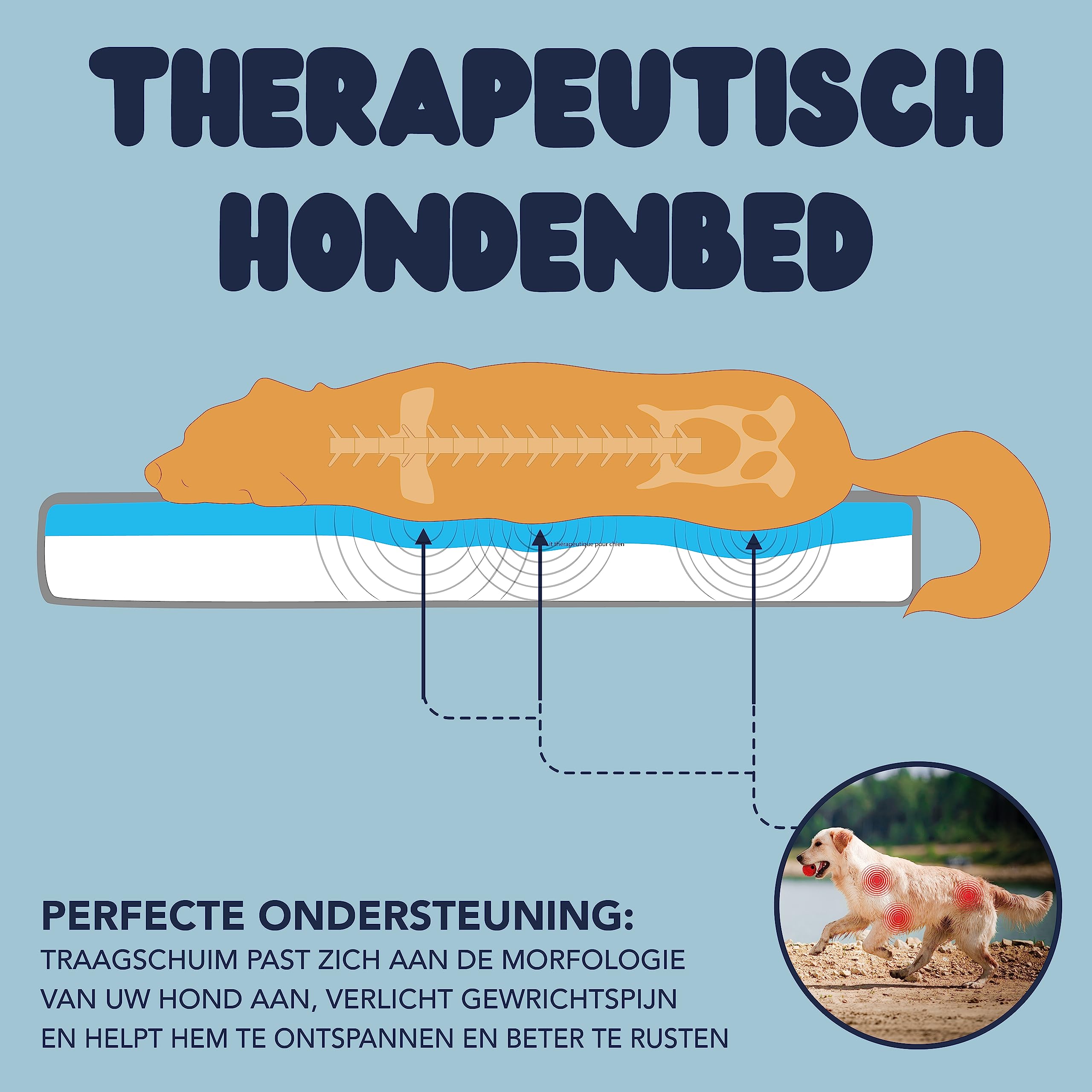 Sytopia Orthopedisch hondenbed XL voor grote honden, hondenkussen