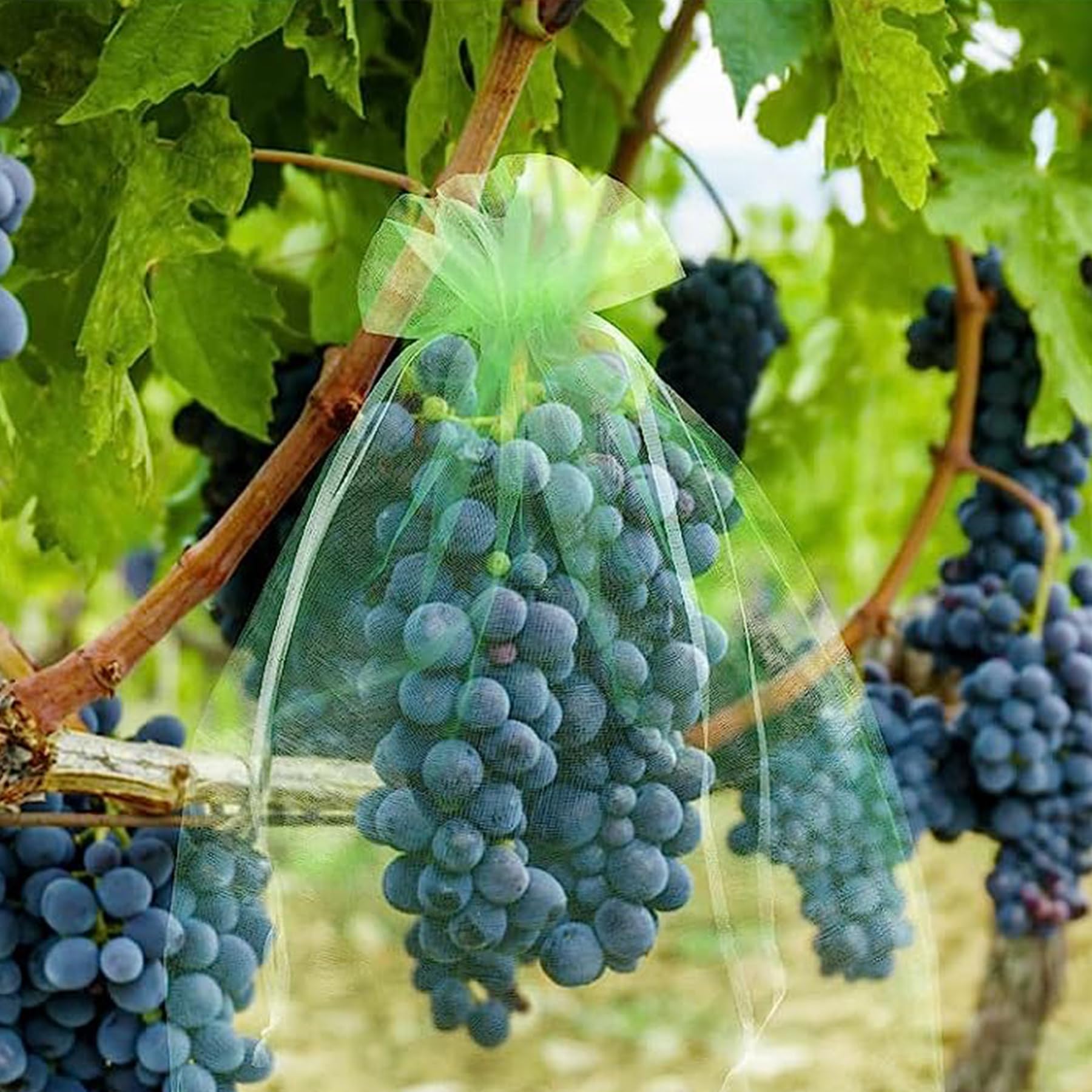 100 Pcs Sac De Protection Fruits Résille Nylon Filets Pour Jardin Sac De Protection De Raisin 30 X 20 Cm Pour La Protection Des Vegetaux Evitez Les Insectes Oiseaux Outils De Jardin 80673858