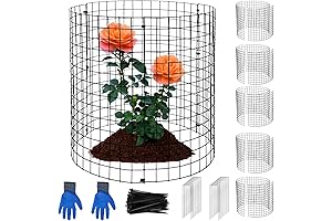 Protecting Plants: 15 Essential Plant Protectors