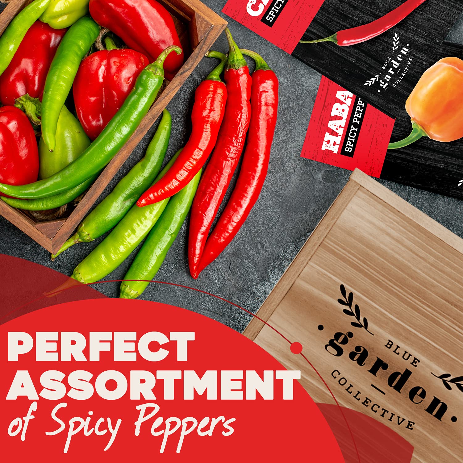 Buy Hot Pepper Seeds for Planting, Indoor Pepper Seed Starter Kit
