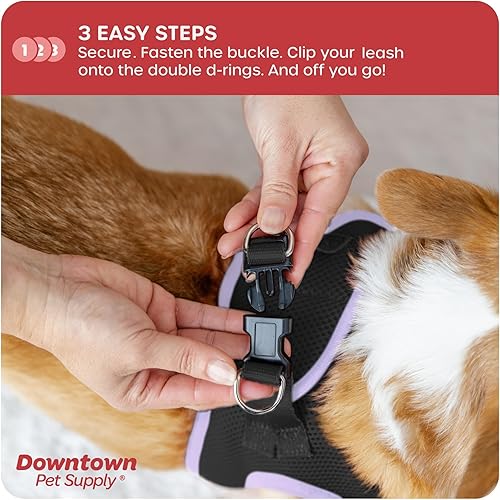 Miniatura 6 de Downtown Pet Supply - Arnés ajustable para perro con chaleco acolchado, fácil de poner en perros pequeños, medianos y grandes (negro con borde