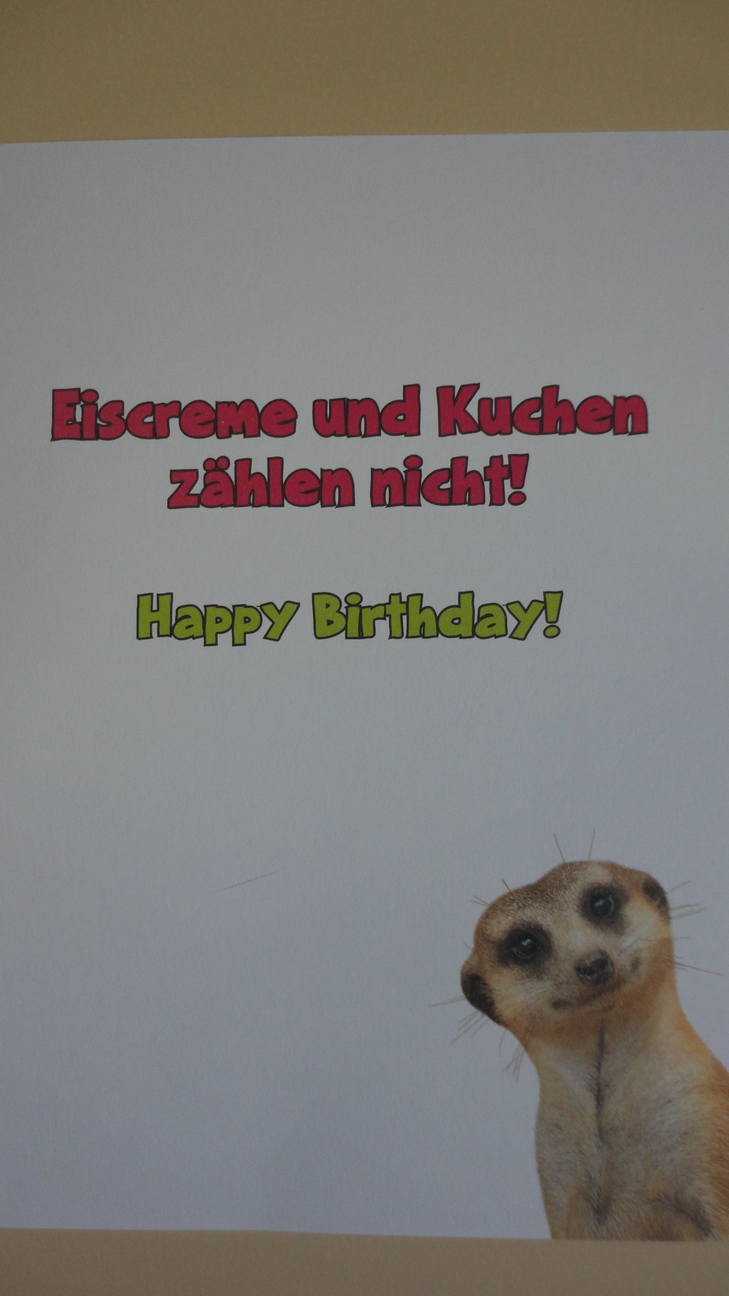 Depesche Tierkarte Zum Geburtstag – Süße Erdmännchen Glückwunschkarte (Nr. 25_A)