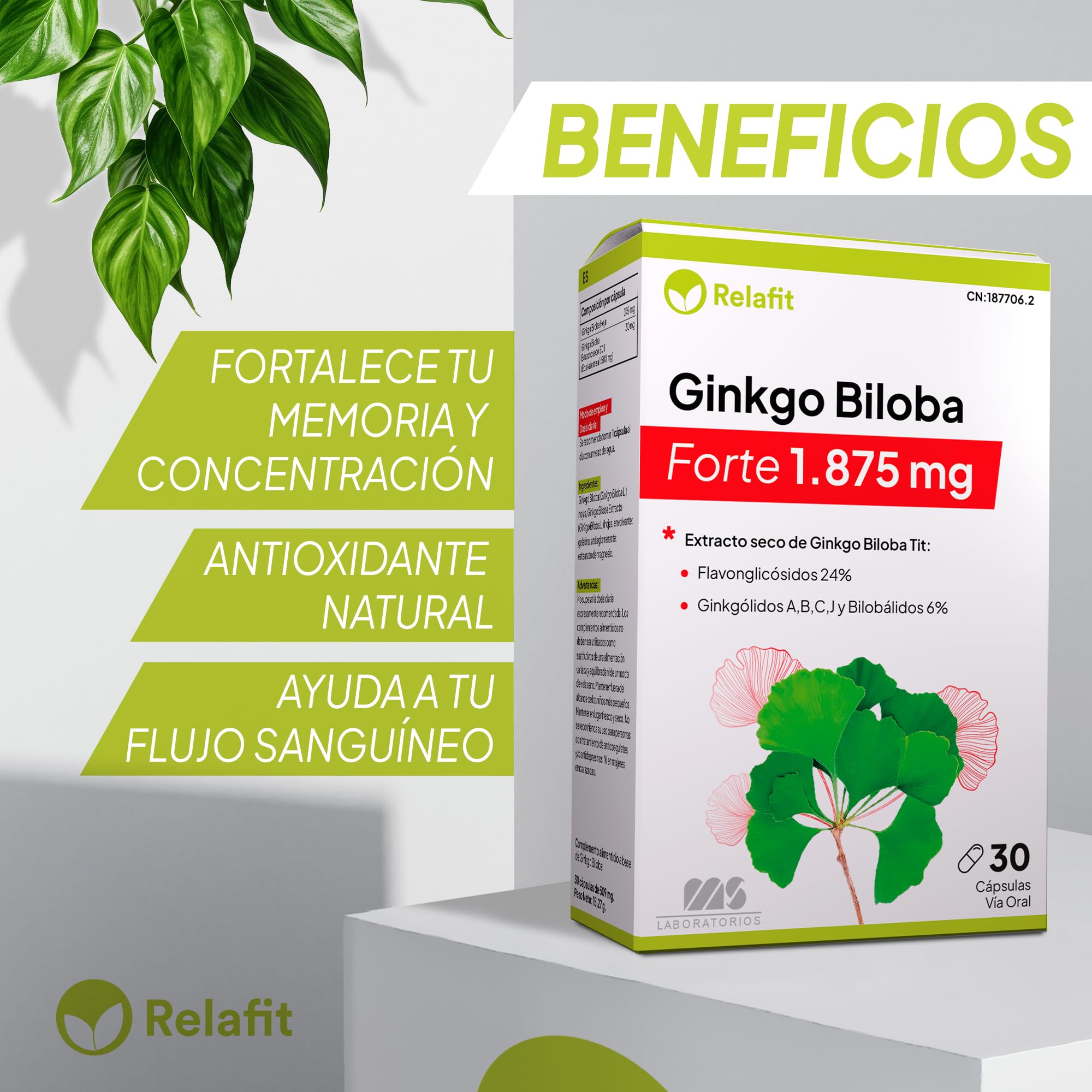Ginkgo Biloba Forte 1.850 mg - 30 Cápsulas | Potente antioxidante | Refuerza la memoria y concentración | Nootropico | Ayuda a la circulación | Suministro para 1 mes | Relafit - Laboratorios MS