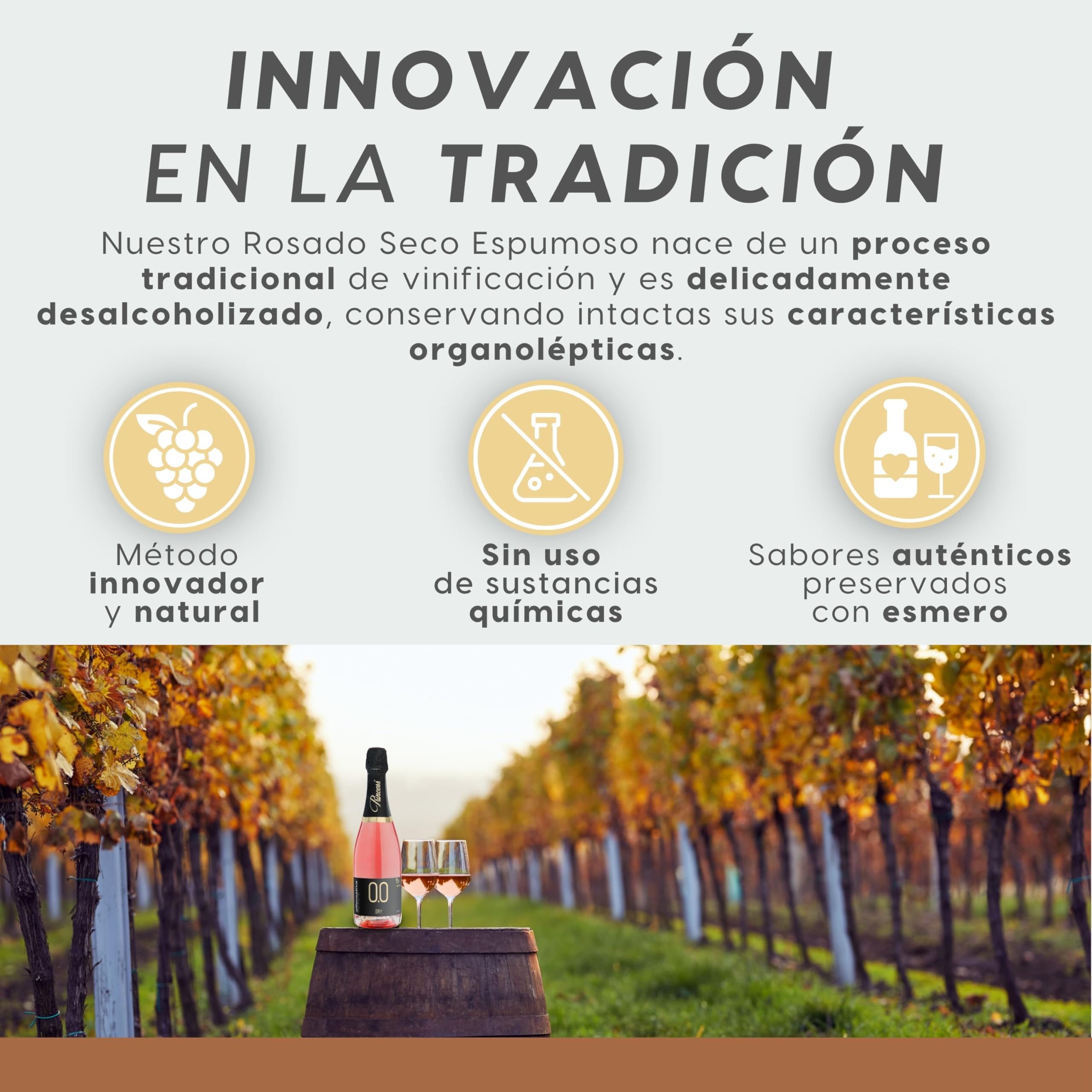 ALTERNATIVA Rosado Seco Espumoso Sin Alcohol 0.0% - 6 Botellas de 750 ml | Burbujas Italianas Desalcoholizado Premium - Ideal para Celebraciones y Regalos