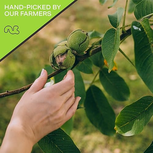 Miniatura 4 de Nut Cravings - Mitades y piezas de nueces crudas, sin sal, sin cáscara, superiores a orgánicas (48 onzas - 3 libras) Nueces a granel empaquetadas