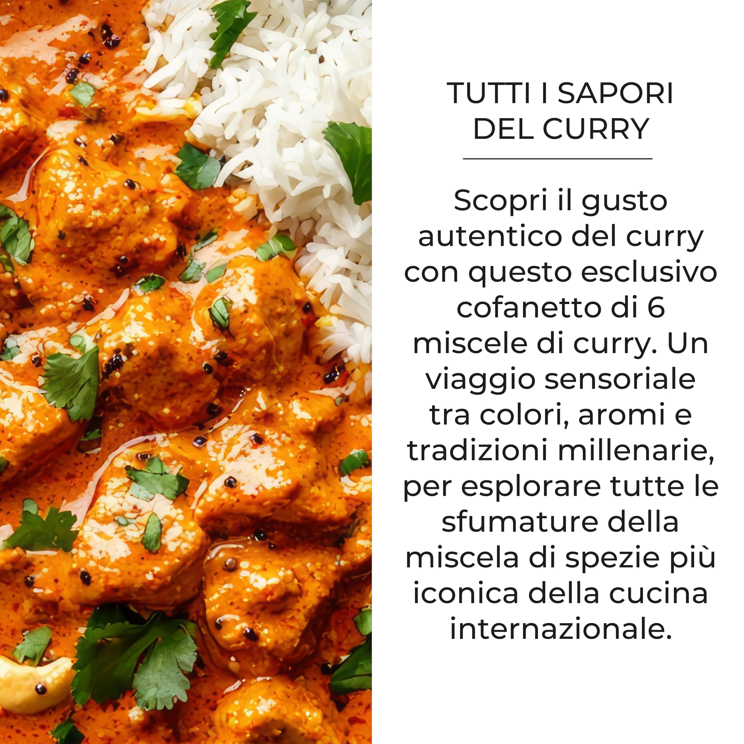 Set 6 Curry del Mondo Bembo – Selezione di Curry Gourmet – Madras, Goa, Malabar, Java, Inglese, Thai Rosso – Idea Regalo Cucina