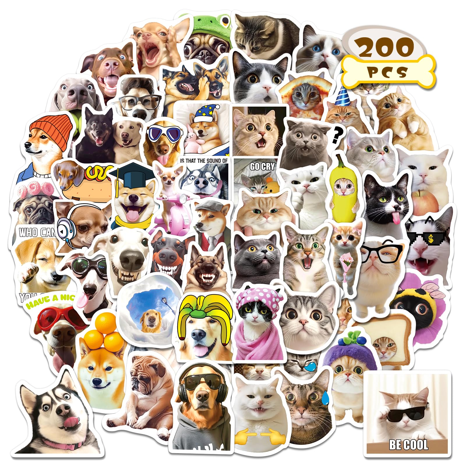 Yqskt 200 PCS Cat and Dog Meme Stickers Pack, Funny Meme Pet Stickers for Water Bottles Car Hard Hat Laptop, Waterproof Vinyl Decals for Adults Teens