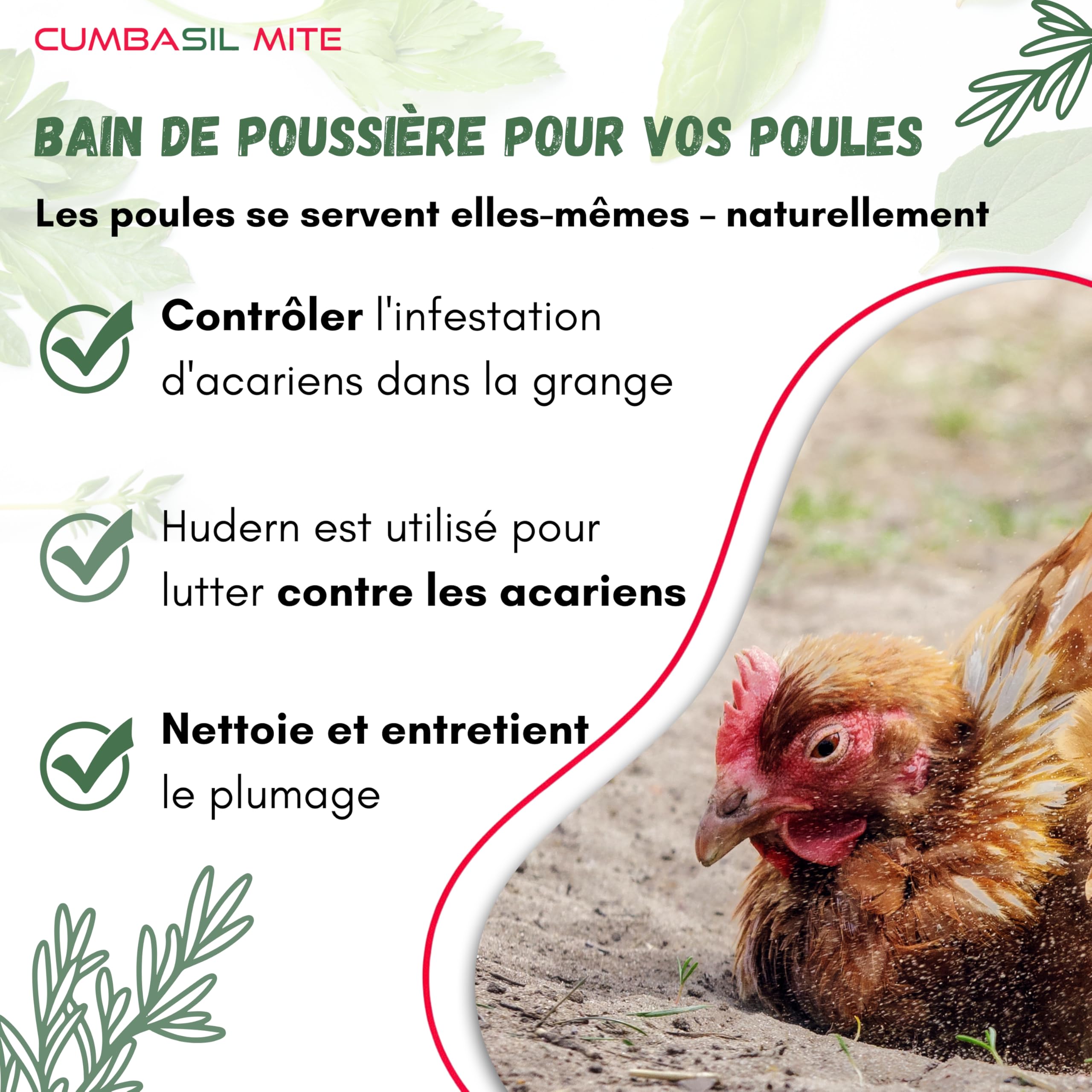 Mite Lot de 3 bains de poussière pour poules, 25 kg, poudre de bain de sable contre les acariens, anti-acariens, protection naturelle contre les acariens, poudre