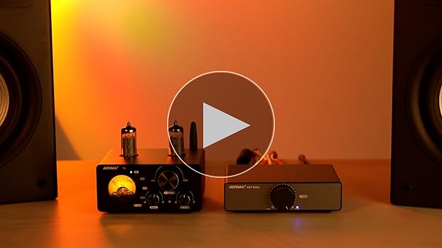 Amazon.com: AIYIMA T9 100W*2 Bluetooth Stereo Amplifier