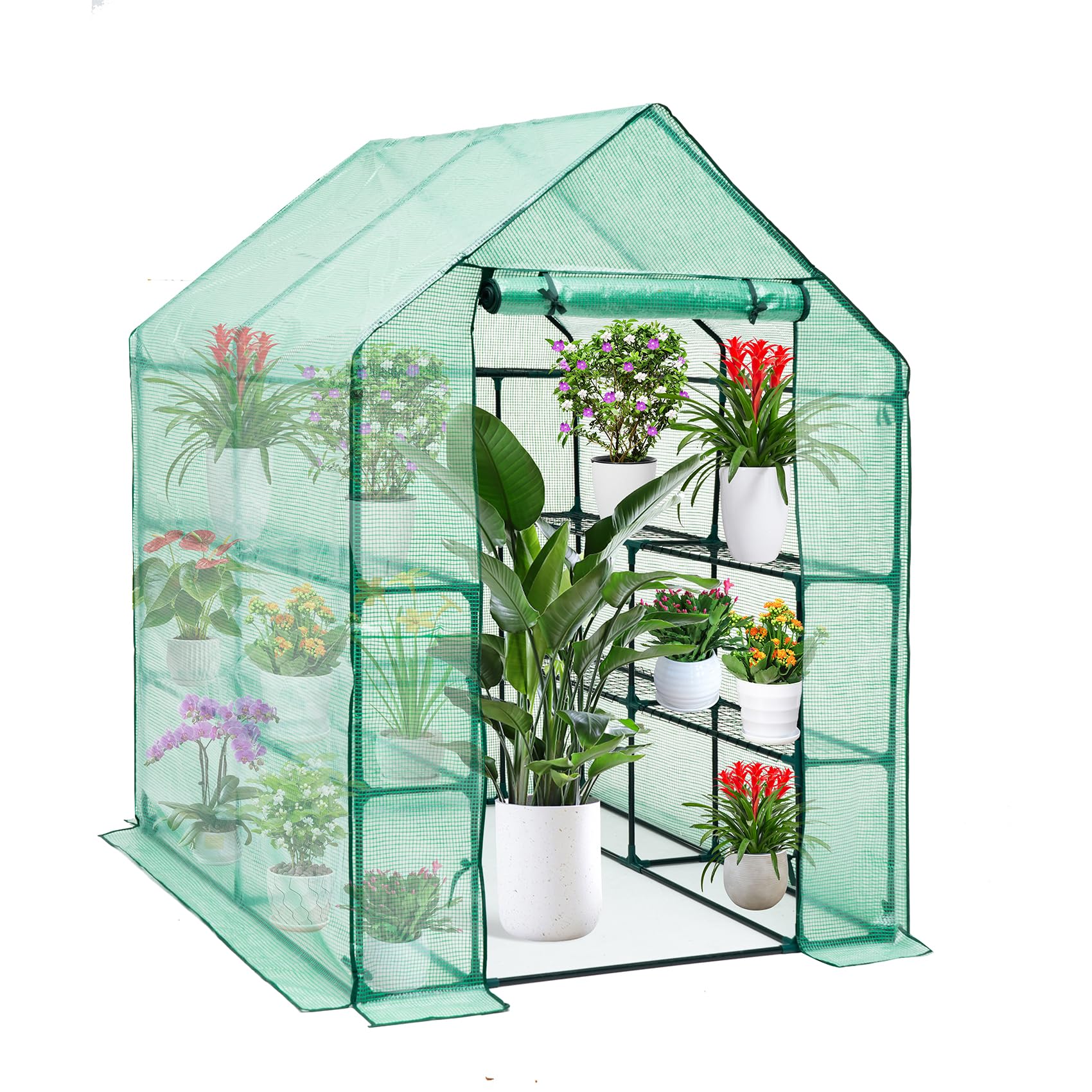 Greenhouses for Outdoors, Mini Greenhouse Walk in Green House Canopy with Roll-Up Zipper Doors, Heavy Duty Greenhouse, Portable Green House Tent for Indoor Backyard Outside