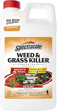 Spectracide Weed & Grass Killer Concentrate, 64-Ounce, 6 Pack
