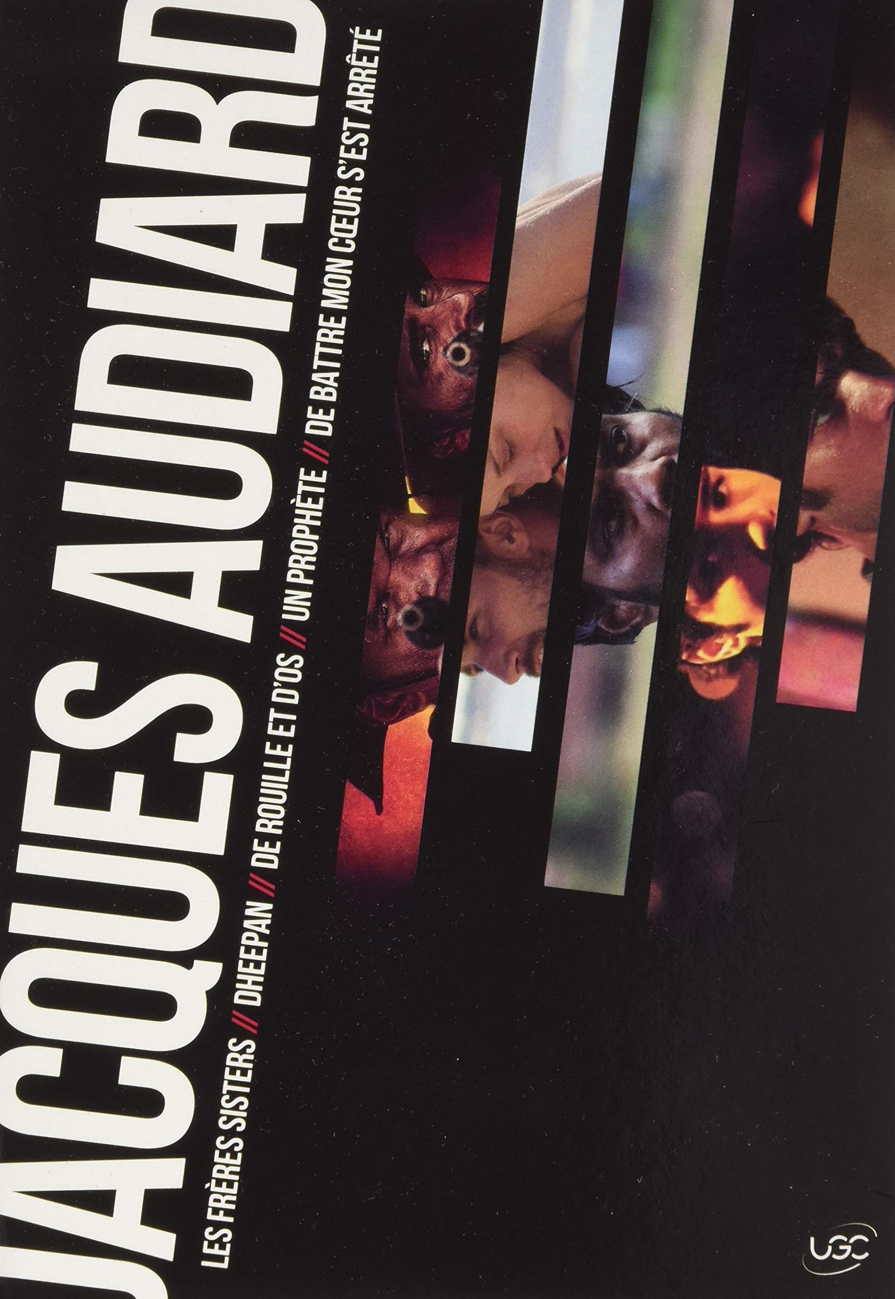 Coffret Jacques Audiard : 5 Films Incontournables en DVD