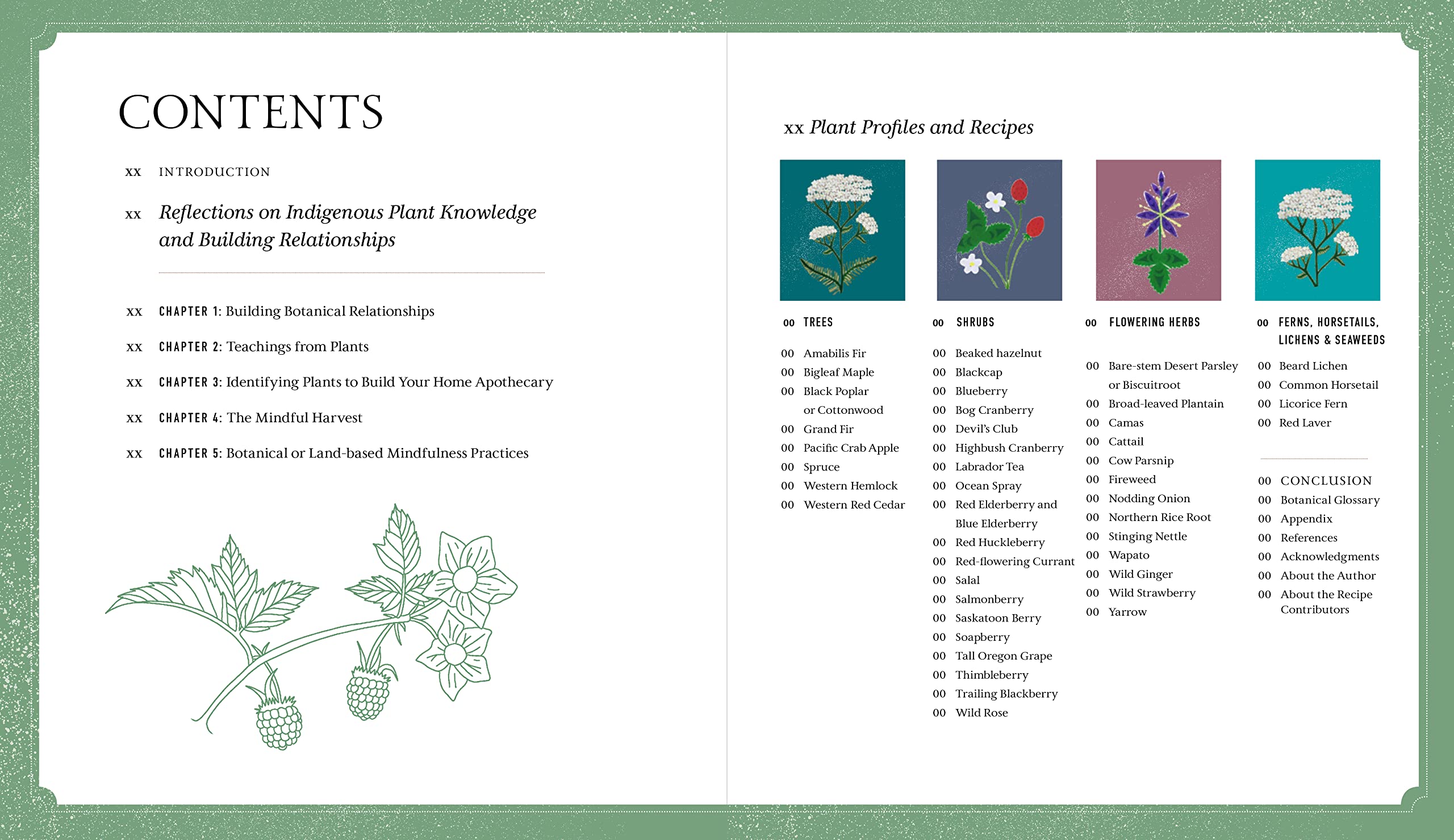 Held by the Land: A Guide to Indigenous Plants for Wellness