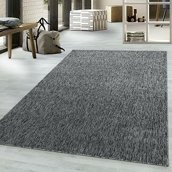 viceroy bedding NIZZA Modern Rugs Living Room Carpet Mat For Bedroom Large Area Rug Hallway Kitchen Extra Large Size Short Pile Flat Weave 120cm x 170cm 4ft x 5.6ft, Grey