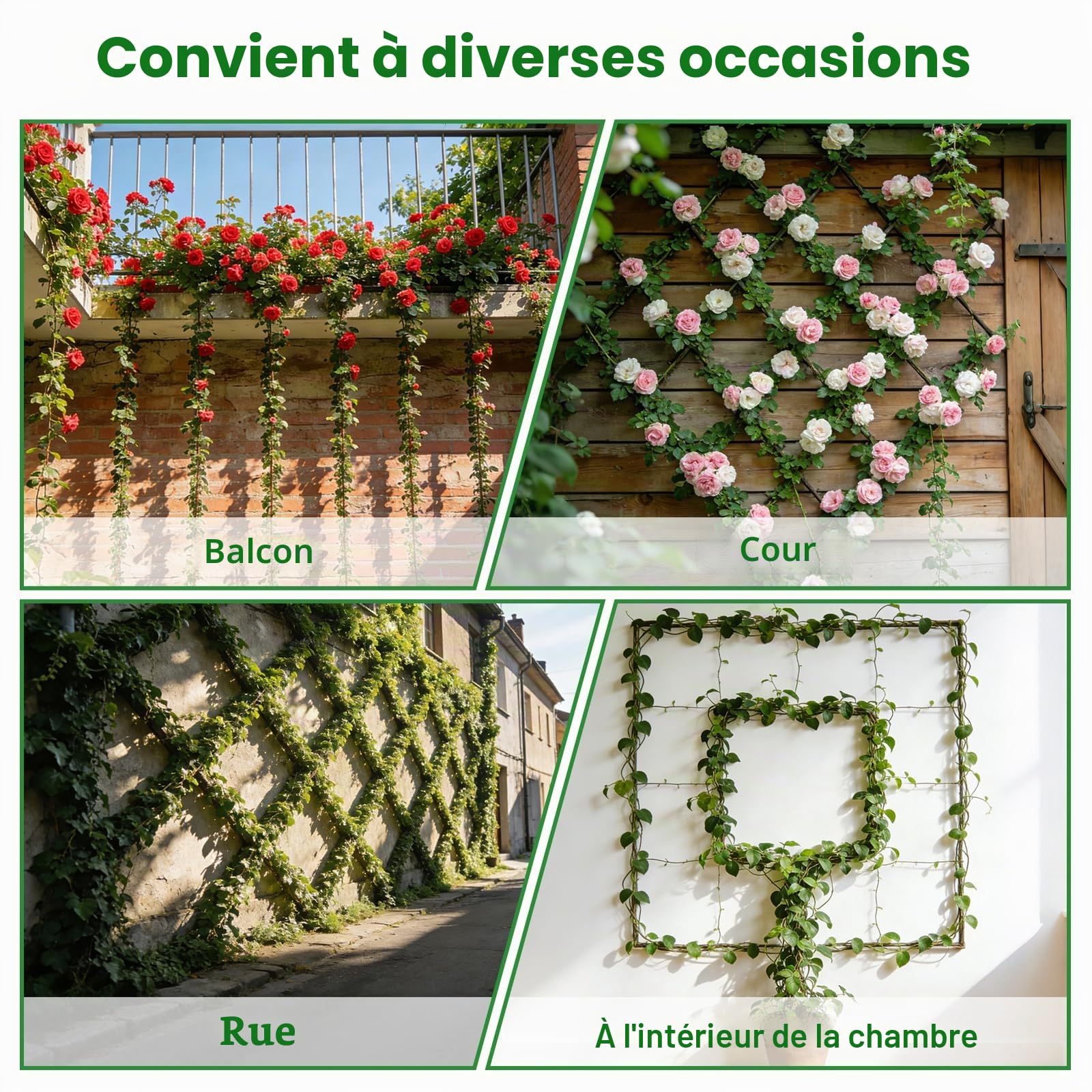 Kalolary 12 pièces T316 5/64" à 1/8" Kit Treillis Métallique pour Jardin