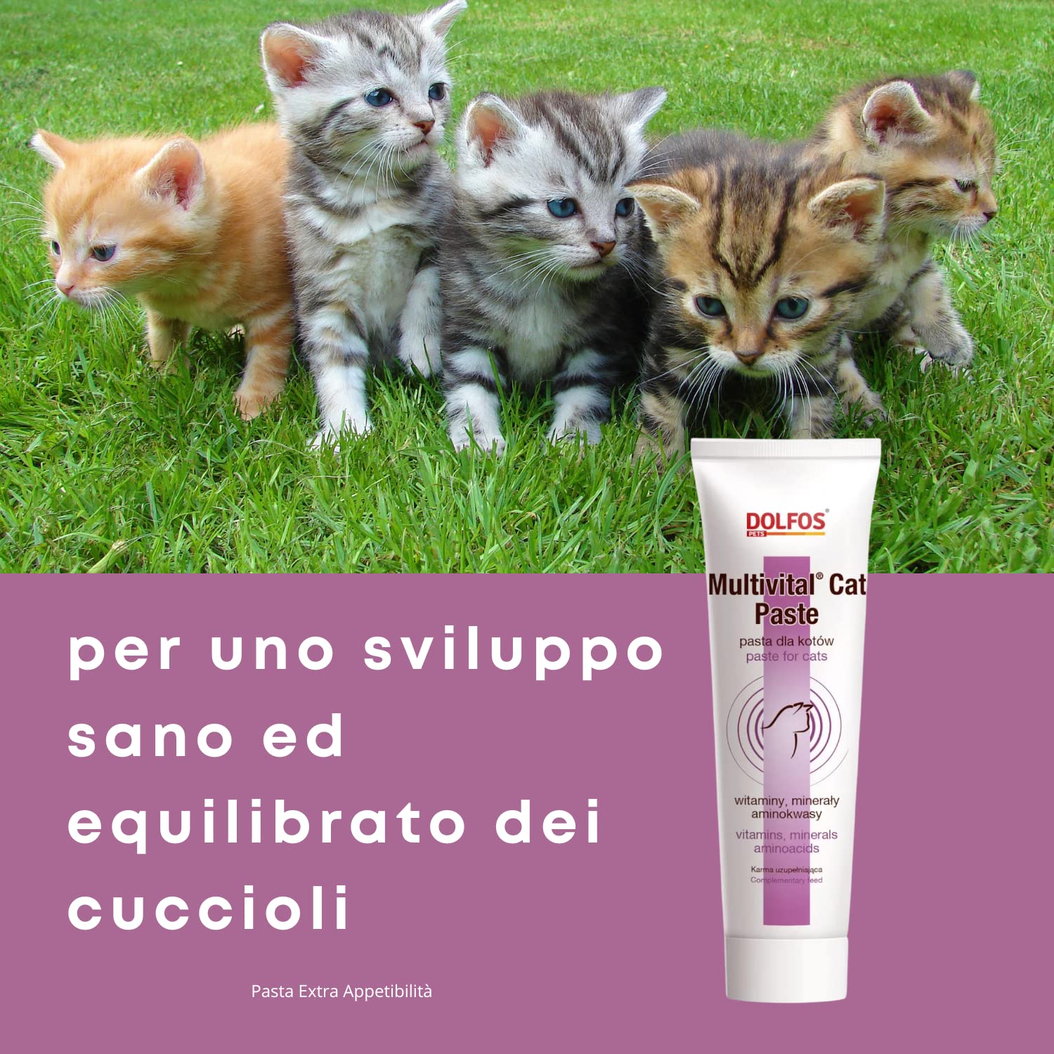 Multivital Cat Paste Multivitaminico per Gatti - Mic di Vitamine, Aminoacidi e Componenti Minerali per tutti i Gatti - Confezione 100 gr