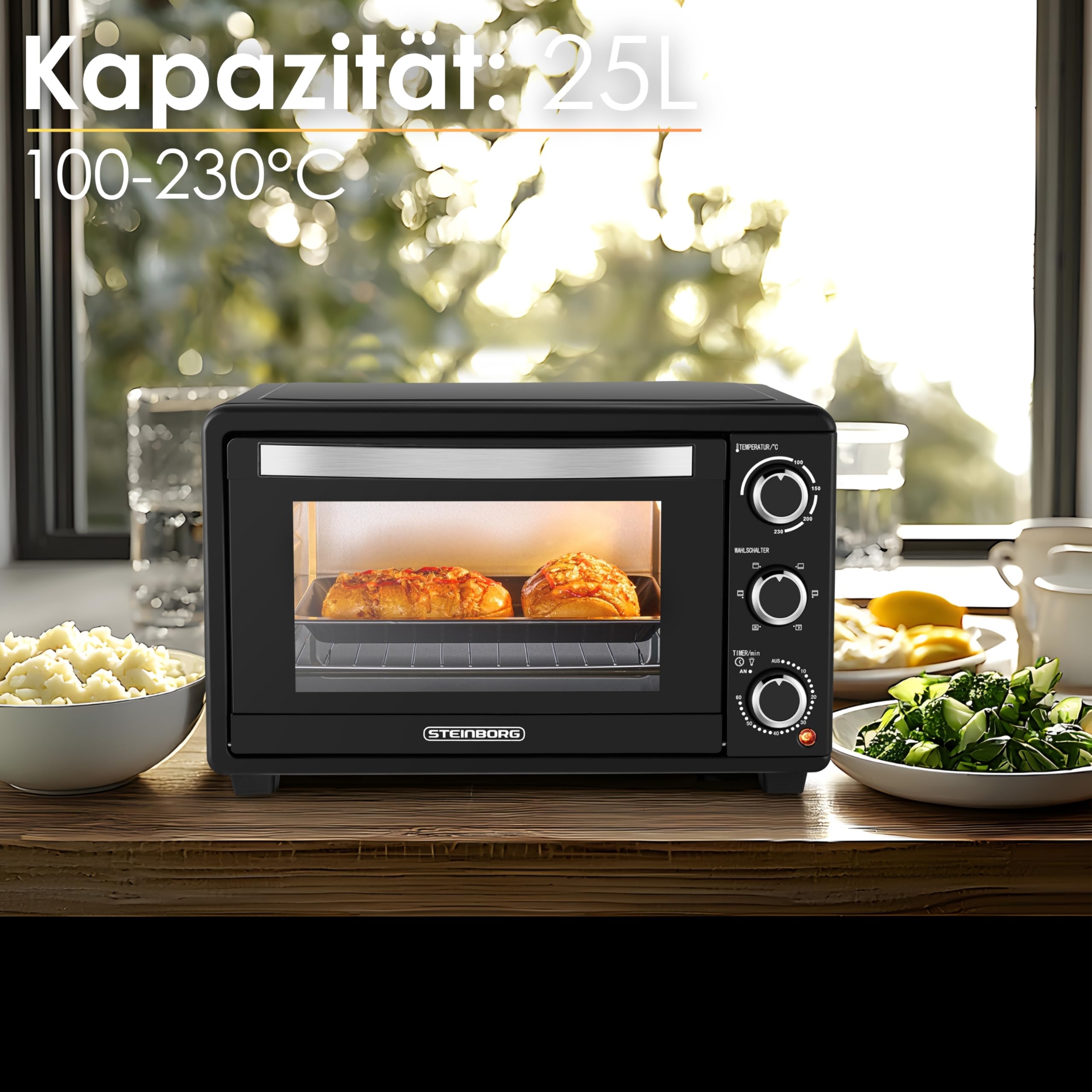 Steinborg Mini Backofen mit Umluft 25 Liter Elektrischer Pizzaofen Minibackofen Miniofen 3in1 Backofen Krümelblech Ober-/Unterhitze Energiesparend 100-230°C 60 Min Timer