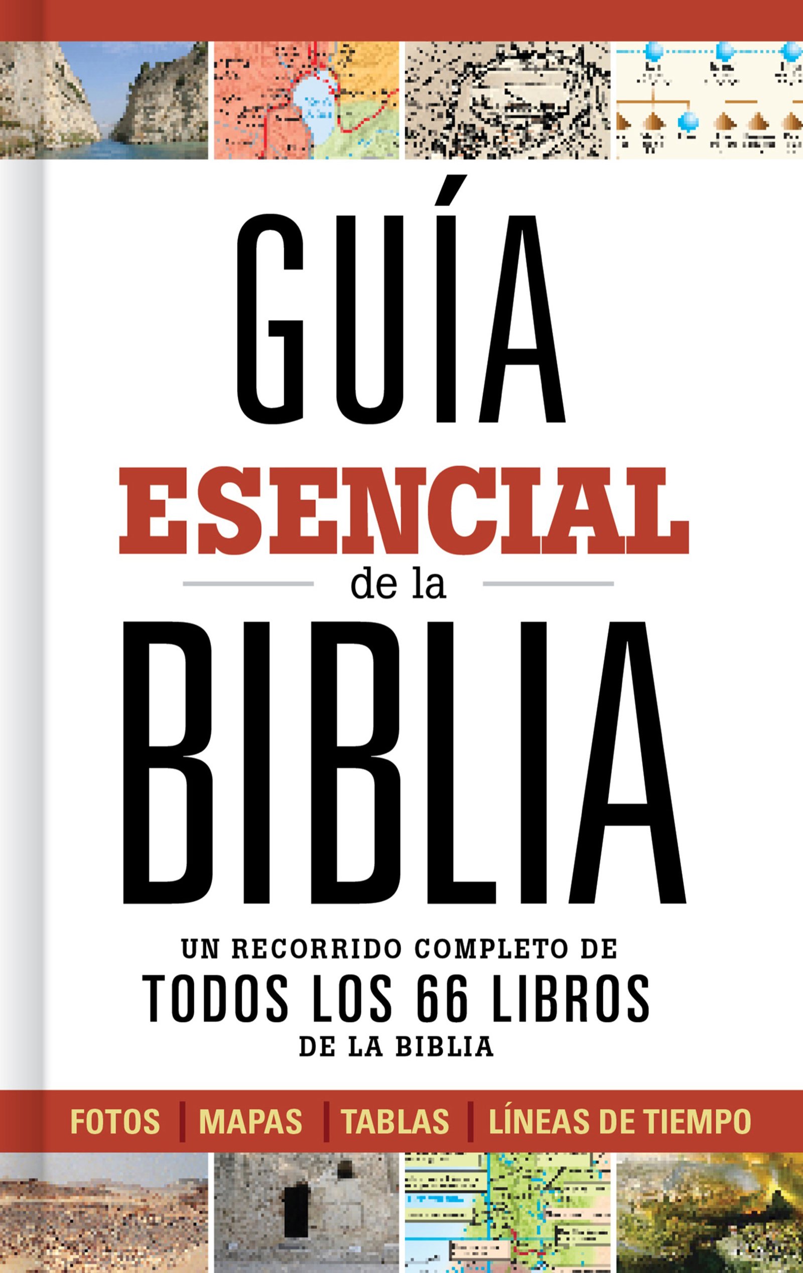 Guía esencial de la Biblia: Caminando a través de los 66 libros de la biblia (Spanish Edition)