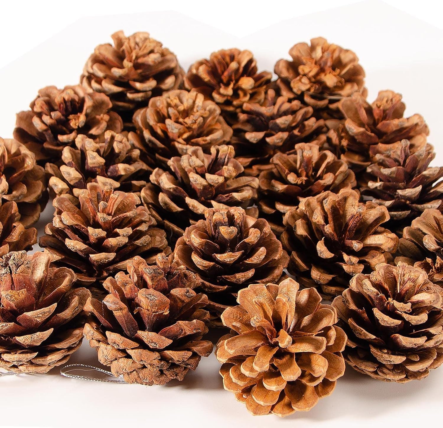 The Decor Affair 24 PCS Natural Pine Cones Christmas Rustic Pine Cones Bulk Ornaments with String for Xmas Thanksgiving Fall Party Craft Decorations