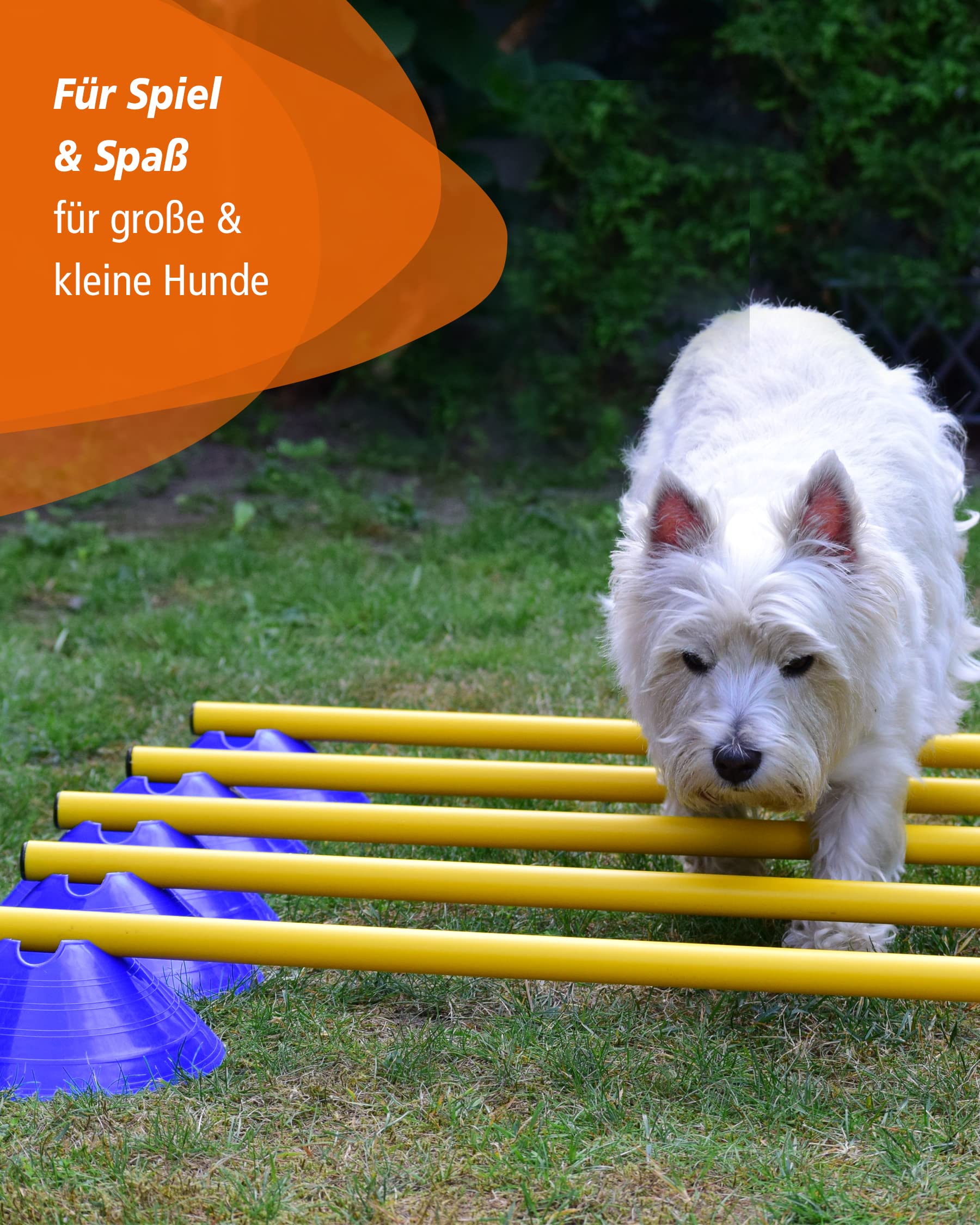 Agility