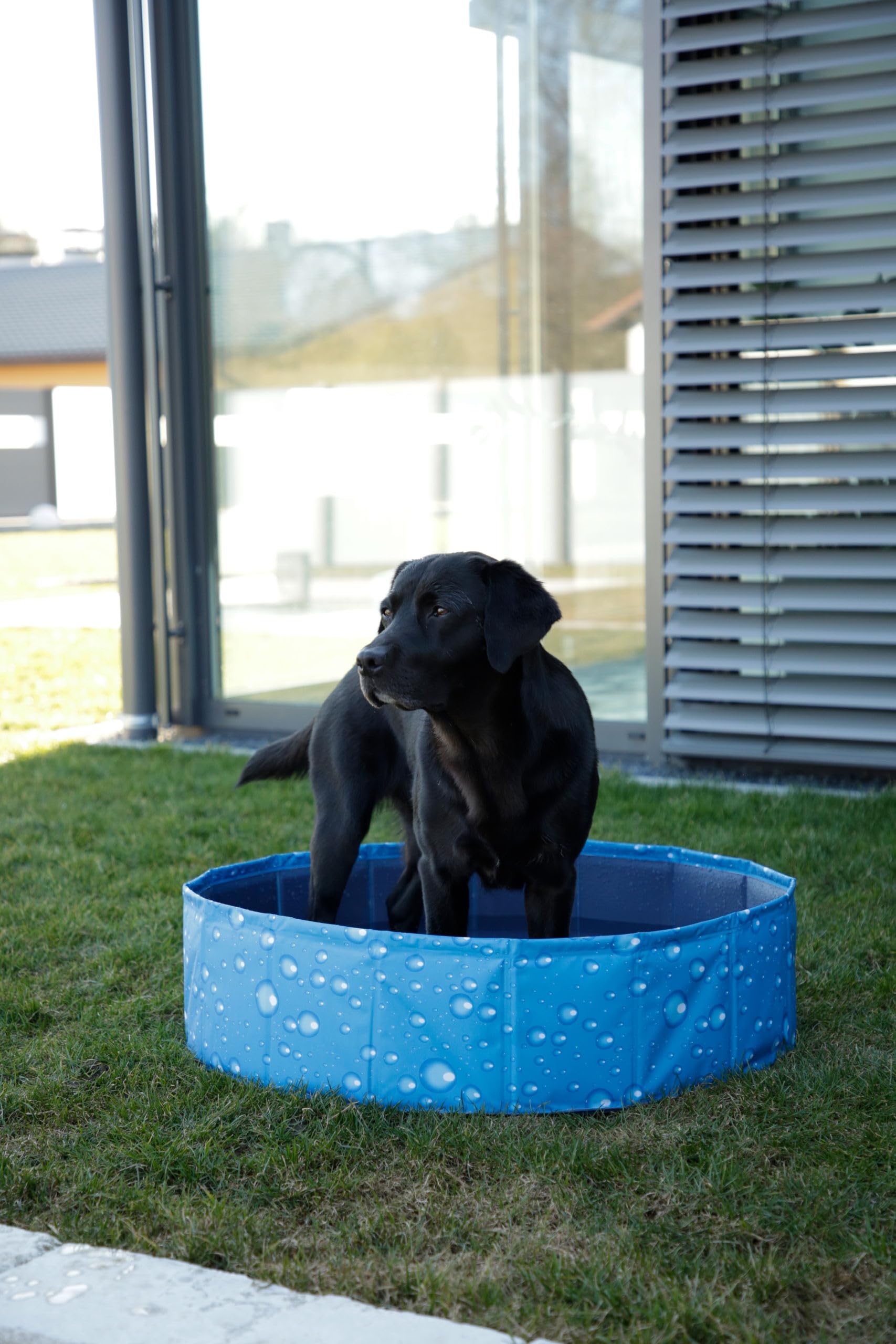 Kerbl Pet 80738 - Piscina para Perros, 80 x 80 x 20 cm, Color Azul