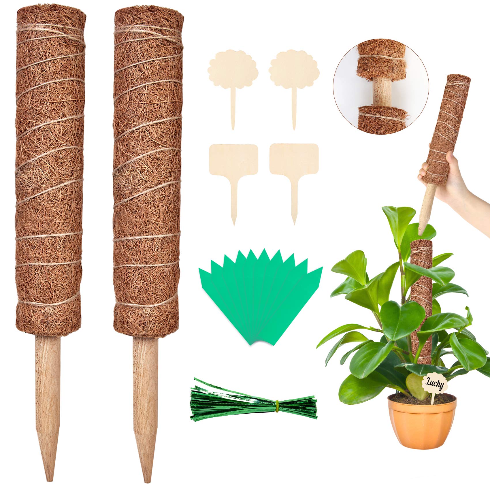 YHmall 2 Pcs 40cm Moss Pole with 100Pcs Cable Ties, 10 Green Tags, 4 Woonden Plant Labels, Cheese Plant Coir Moss Totem Pole Coco Stick for Plant Support Extension Climbing Indoor Plants Creepers