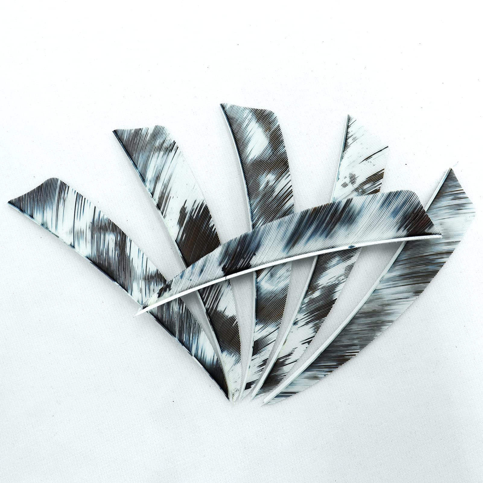 OBTOUTDOOR 50pcs Archery 4 inch Shield Cut Feathers Arrows Feather Fletching Right Wing Bow Hunting Accessories (White)