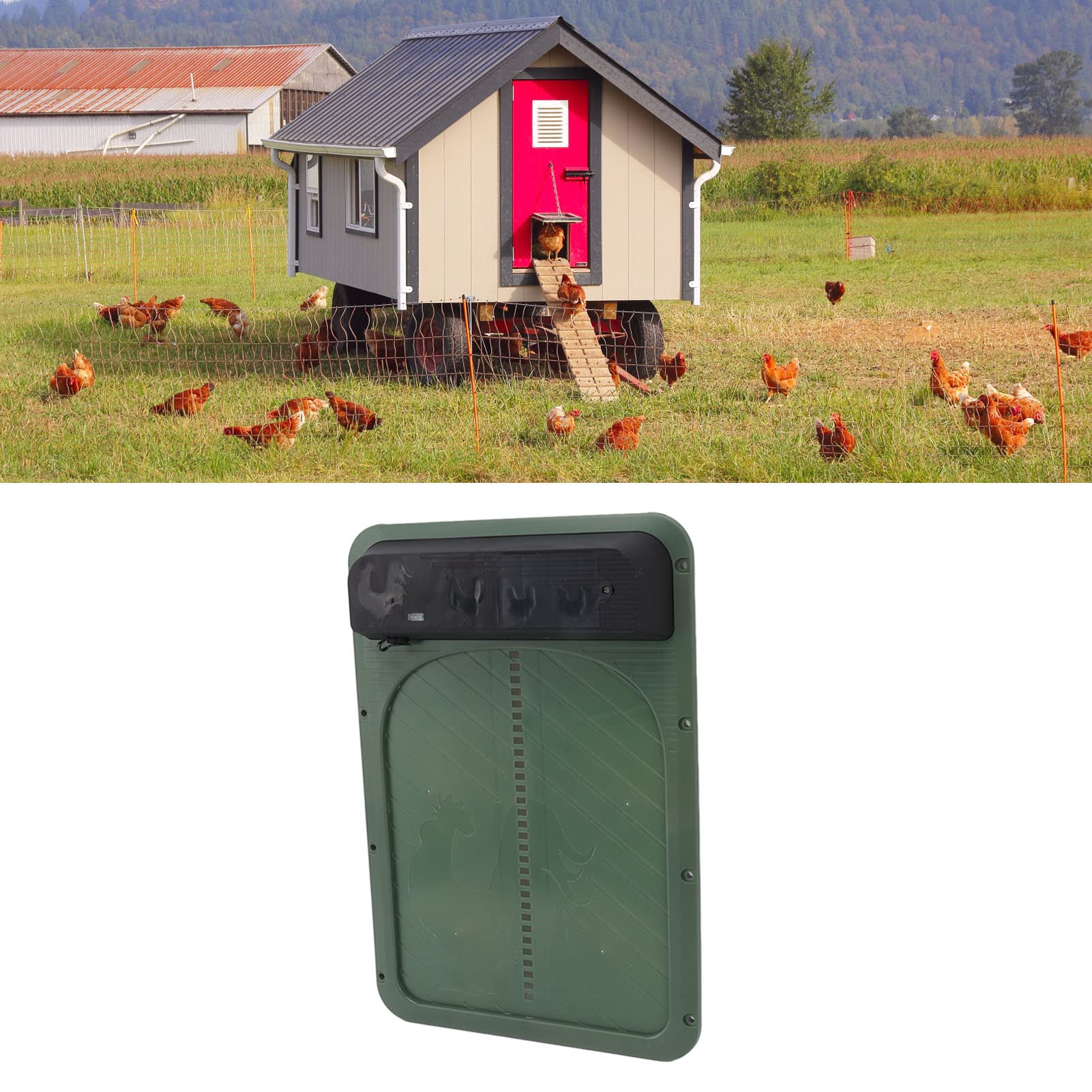 Porta Automatica per Pollaio, Porta per Galline Solare con Sensore di Luce Leggero per Oca (Verde)