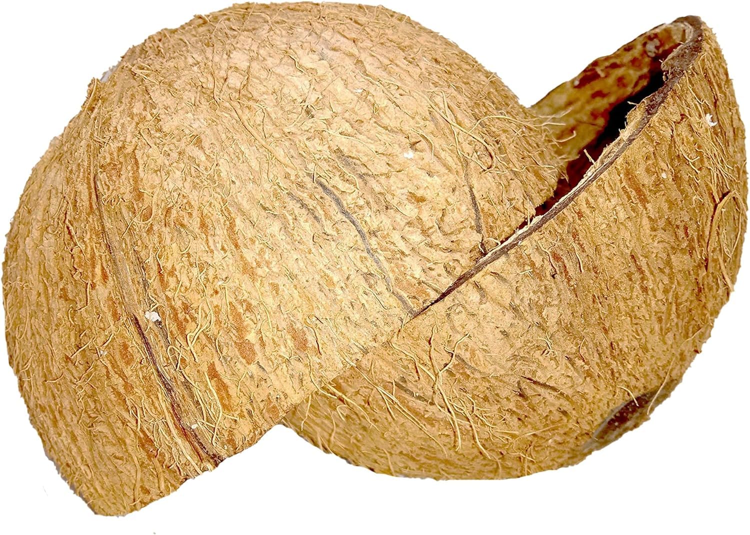 2 pezzi di noce di cocco a metà/Eco-Friendly Ceylon 100% naturale noce di cocco biologico metà per guscio di cocco artigianale fatto a mano / 2 pezzi HALVES