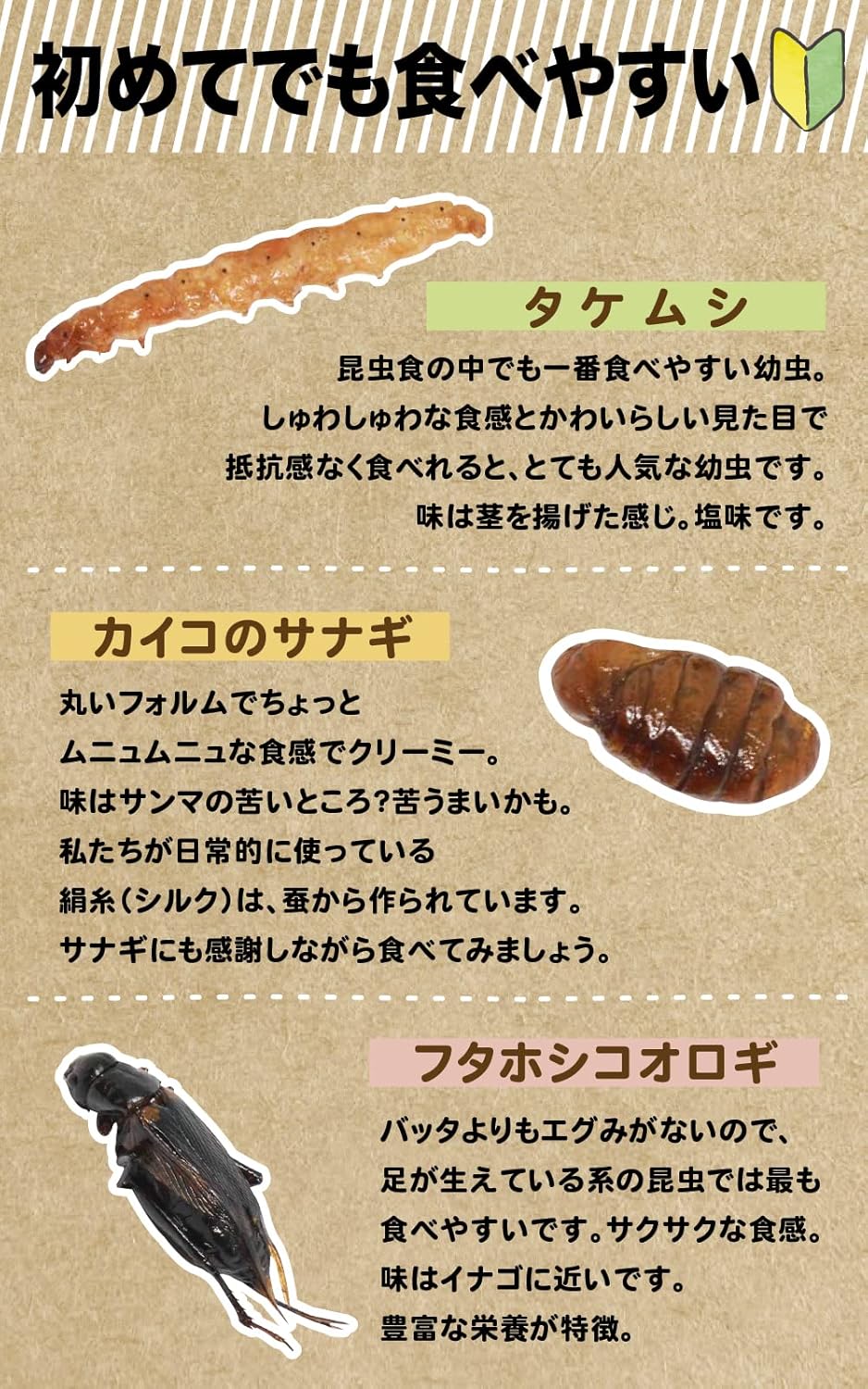 Amazon Buggui 昆虫食 食べやすい昆虫ミックス 乾燥より美味しい素揚げ タケムシ カイコのサナギ コオロギ 6 5g Buggui おつまみ 珍味 通販 Amazon Buggui 昆虫食 食べやすい昆虫ミックス 乾燥より美味しい素揚げ タケムシ カイコのサナギ コオロギ 6 5g Buggui おつまみ 珍味 通販