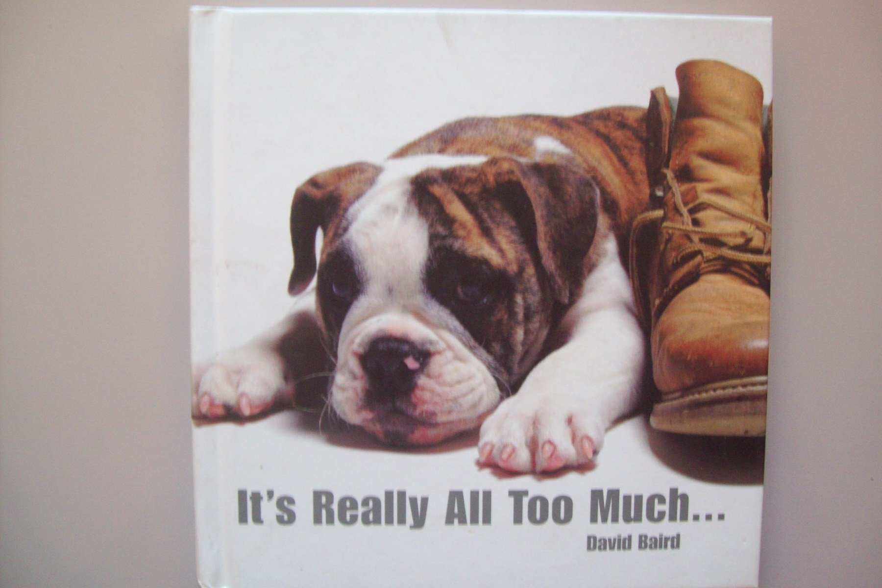 It's Really All Too Much [Hardcover]