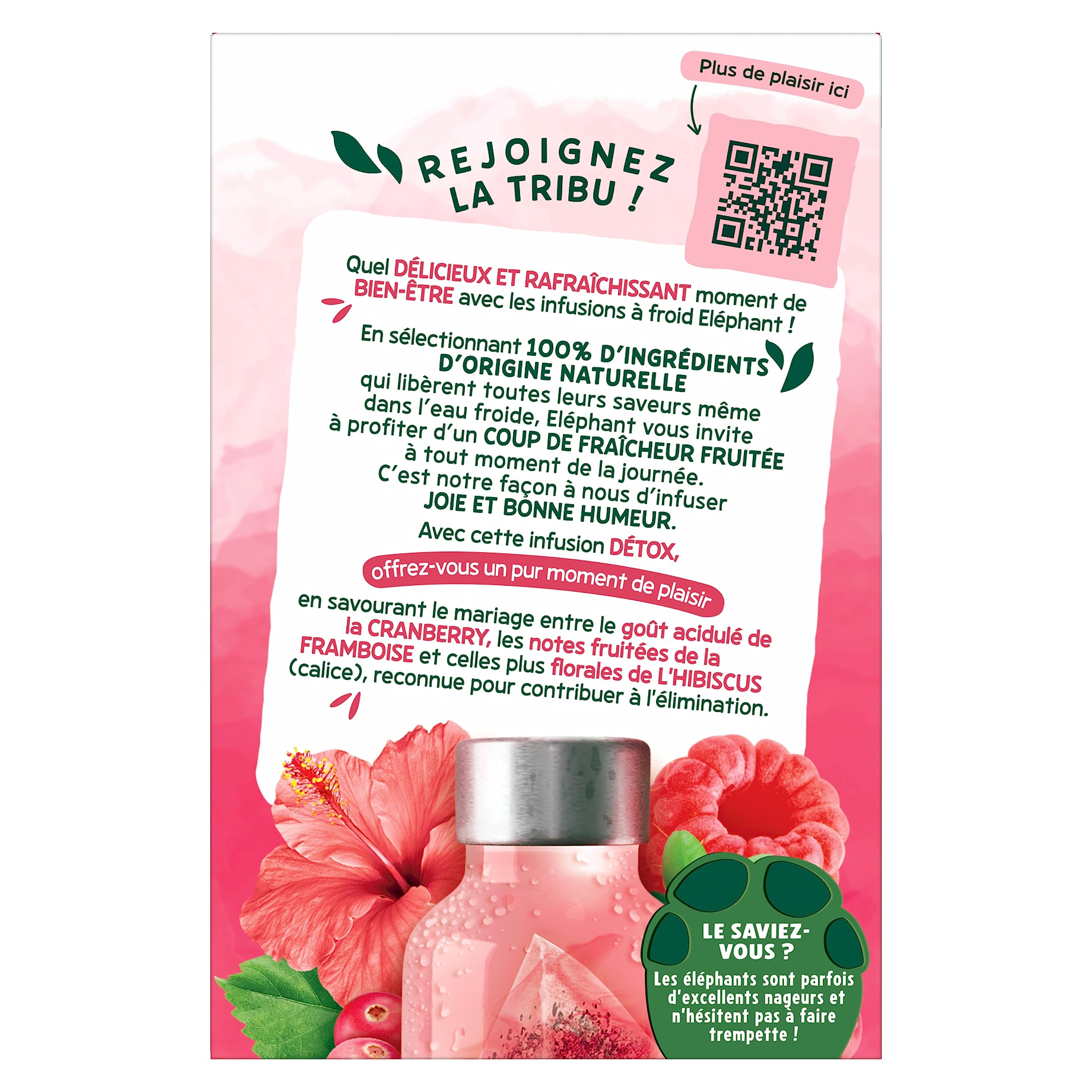Elephant Infusion à Froid Detox, Eau Froide Aromatisée, Parfums Naturels Cranberry Framboise Hibiscus, Lot de 6 x 15 Sachets Individuels, 90 Sachets Pyramid