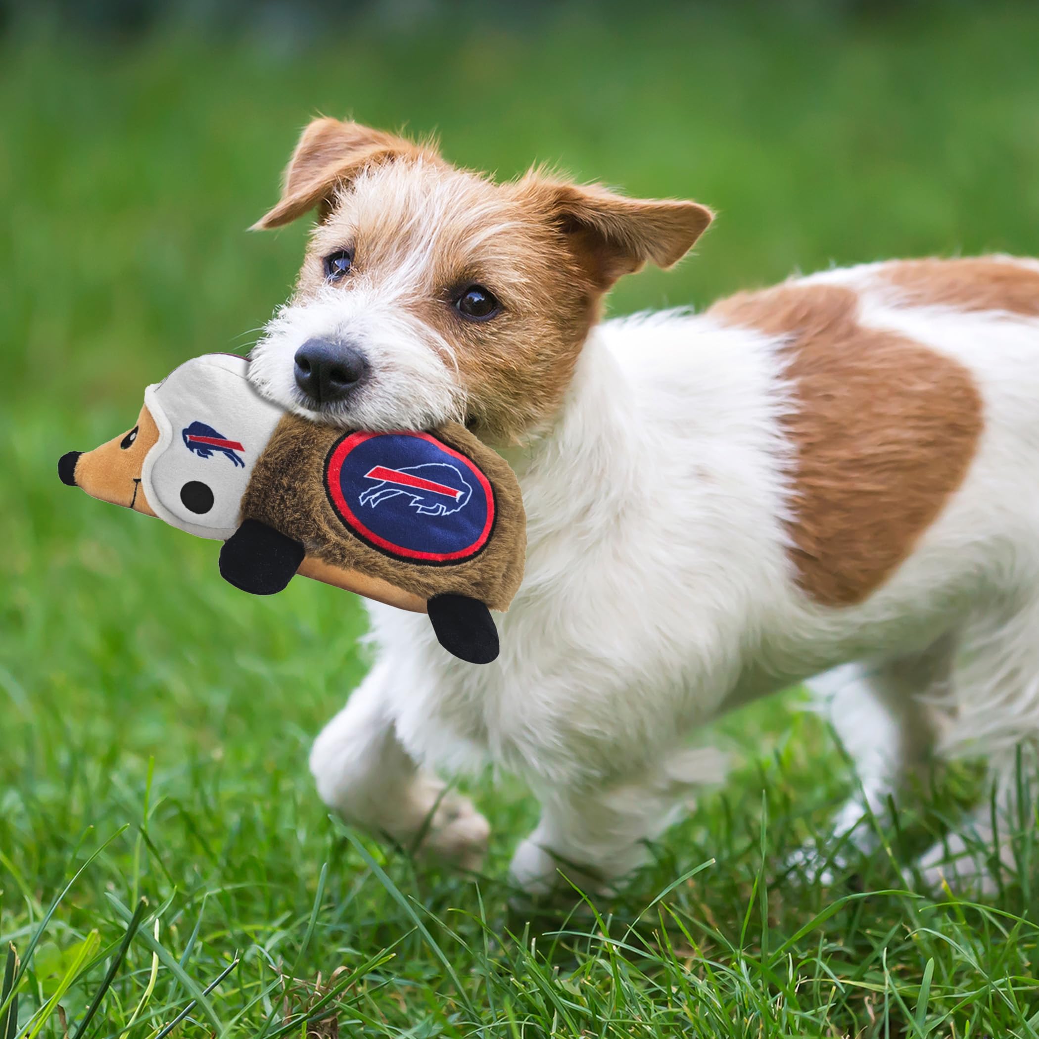 NFL Buffalo Bills Plüsch-Igelspielzeug für Hunde & Katzen, Cooles weiches Haustierspielzeug für Spaß und interaktives Spielen, Hunde-Kauspielzeug mit Quietscher, lizenziertes Hot Pet Spielzeug