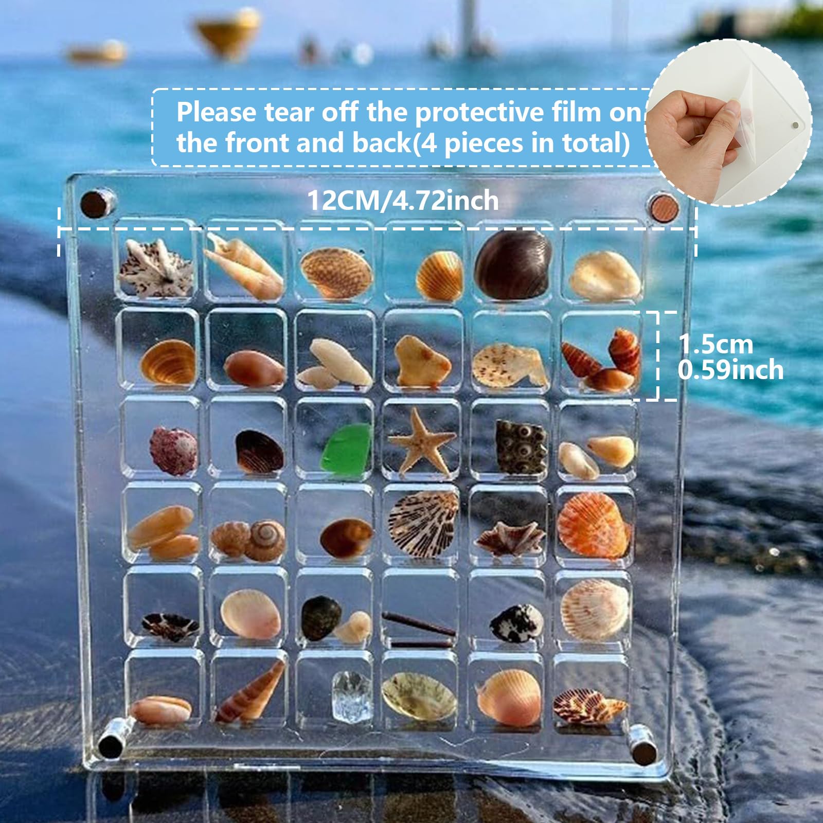 WatDenyFine 36 Quadrate Muschel Sammelbox Seashell Display Box Display Shell Acrylbox Display Box Muschel Box Kann zur Aufbewahrung von Muscheln Schmuck Nägeln und Perlen Verwendet Werden（Quadrat）