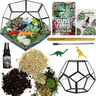 Cute Farms Glass Terrarium Kit | Just Add Your Own Plants (Geometric Glass)