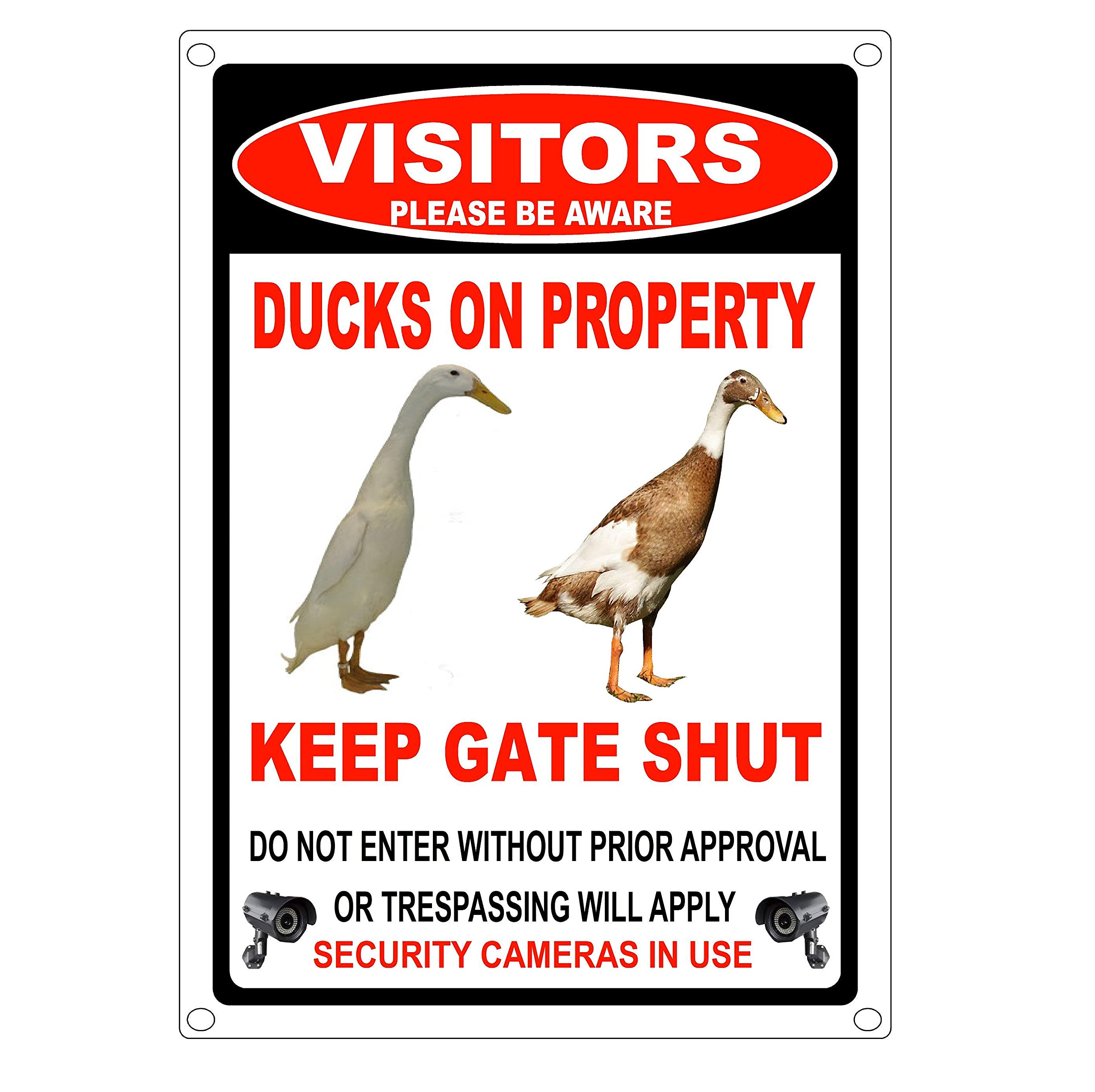Indian Runner Ducks Property Gate Sign Metal Sign 8x12 inches