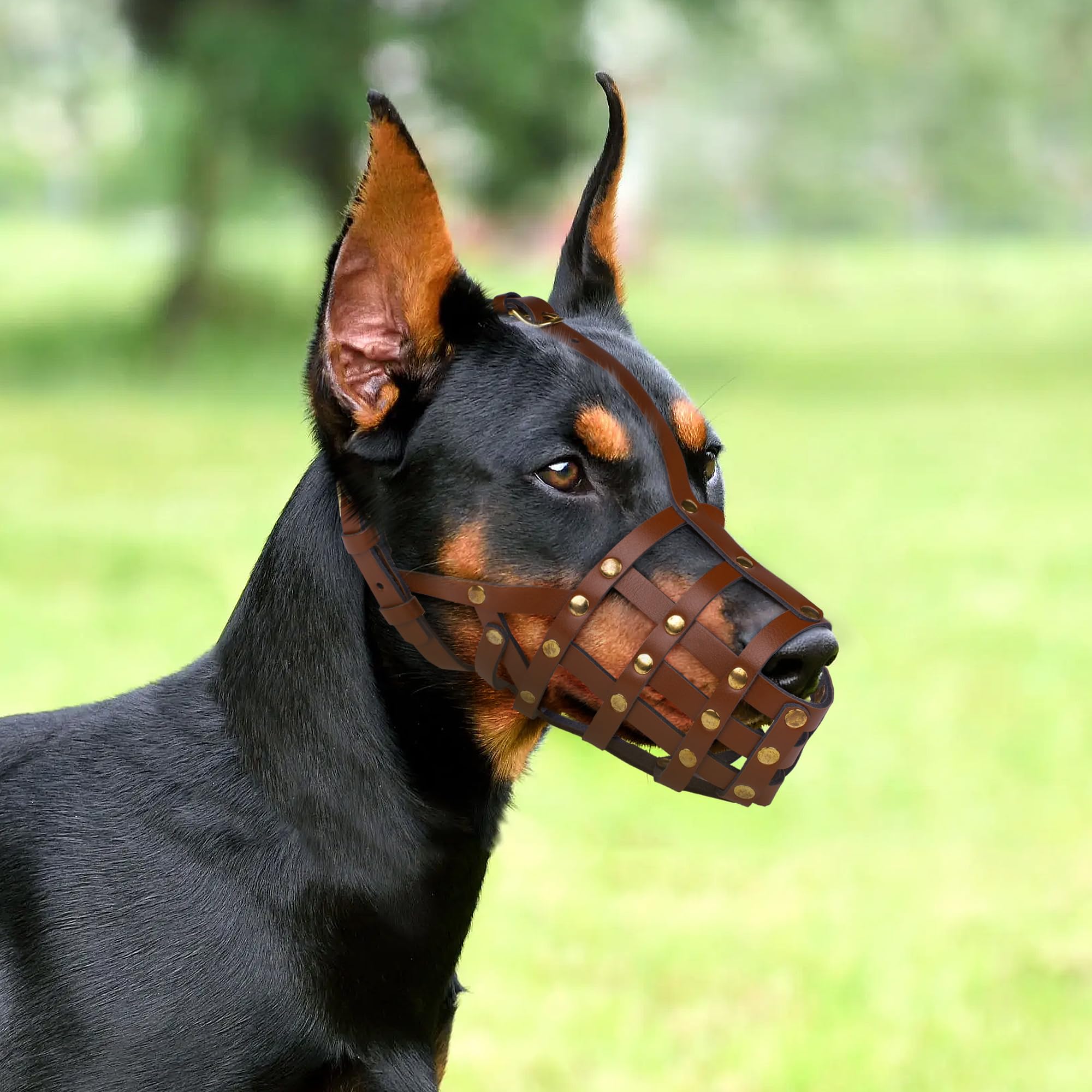 OOPSDOGGY Doberman - Bozal para perros grandes, bozal de cuero transpirable seguro para razas grandes, pastor alemán husky, evita mordeduras, no mastica, ajustable (negro)