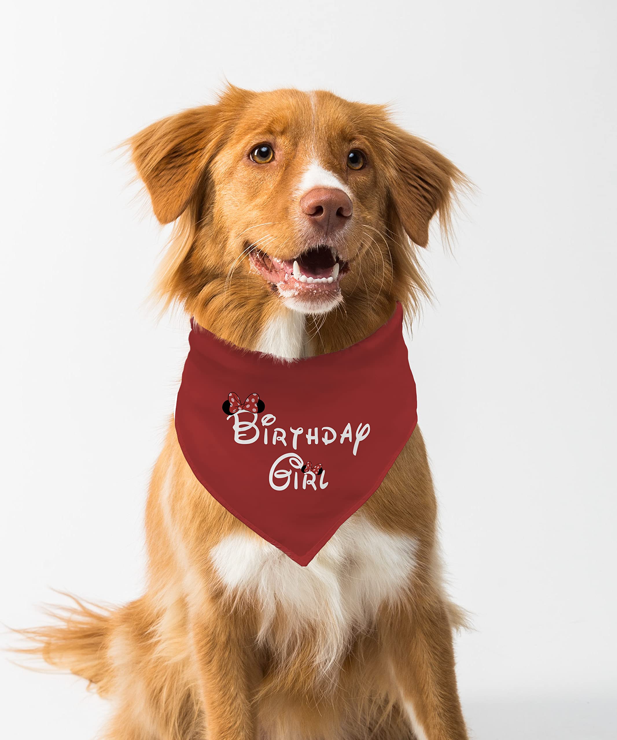 Farnup Dog Bandana | Adjustable & Comfortable, Birthday Girl Design 2, Graphic Printed Bandana for Dogs | Dog Scarf, Accessory | Gifts for Dogs-M/L (B0BZMYVW66) Amazon Price History, Amazon Price Tracker