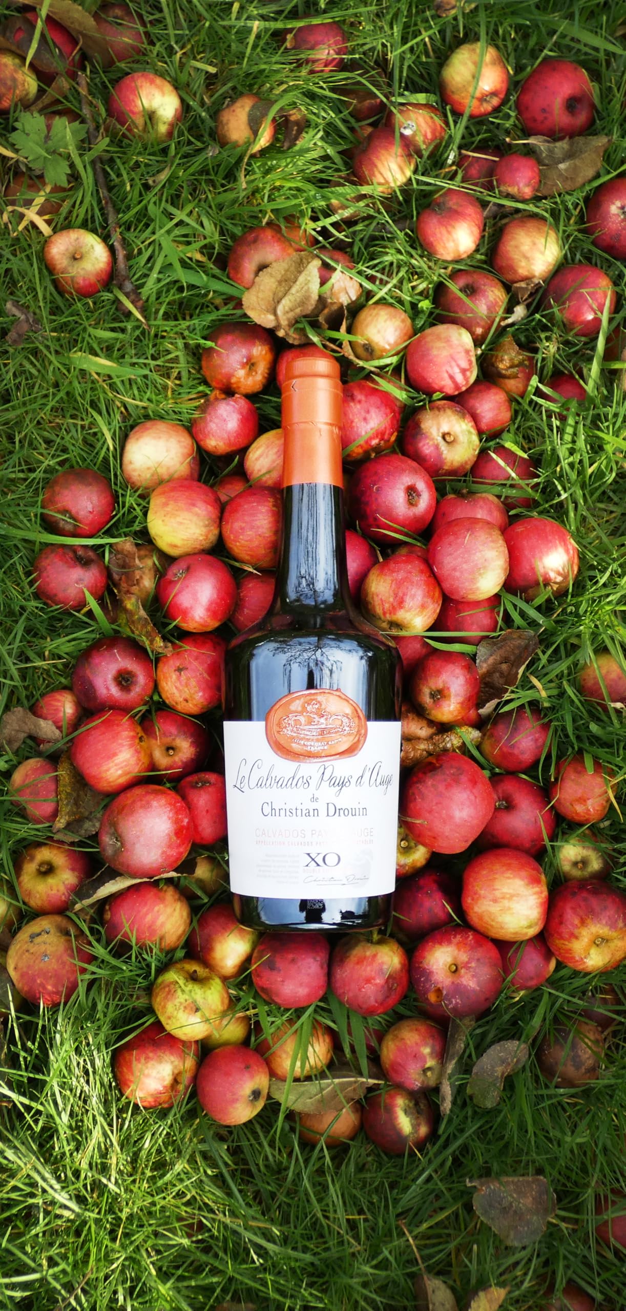 Christian Drouin Calvados XO | Französischer Apfelbrand | Langjährig Gereift | Komplex & Vollmundig | AOC Pays d'Auge | 40% Vol. | 700 ml